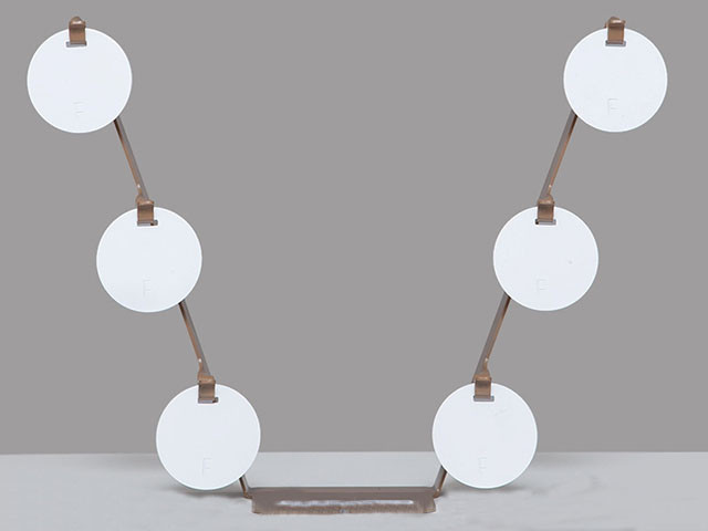 training ladder target