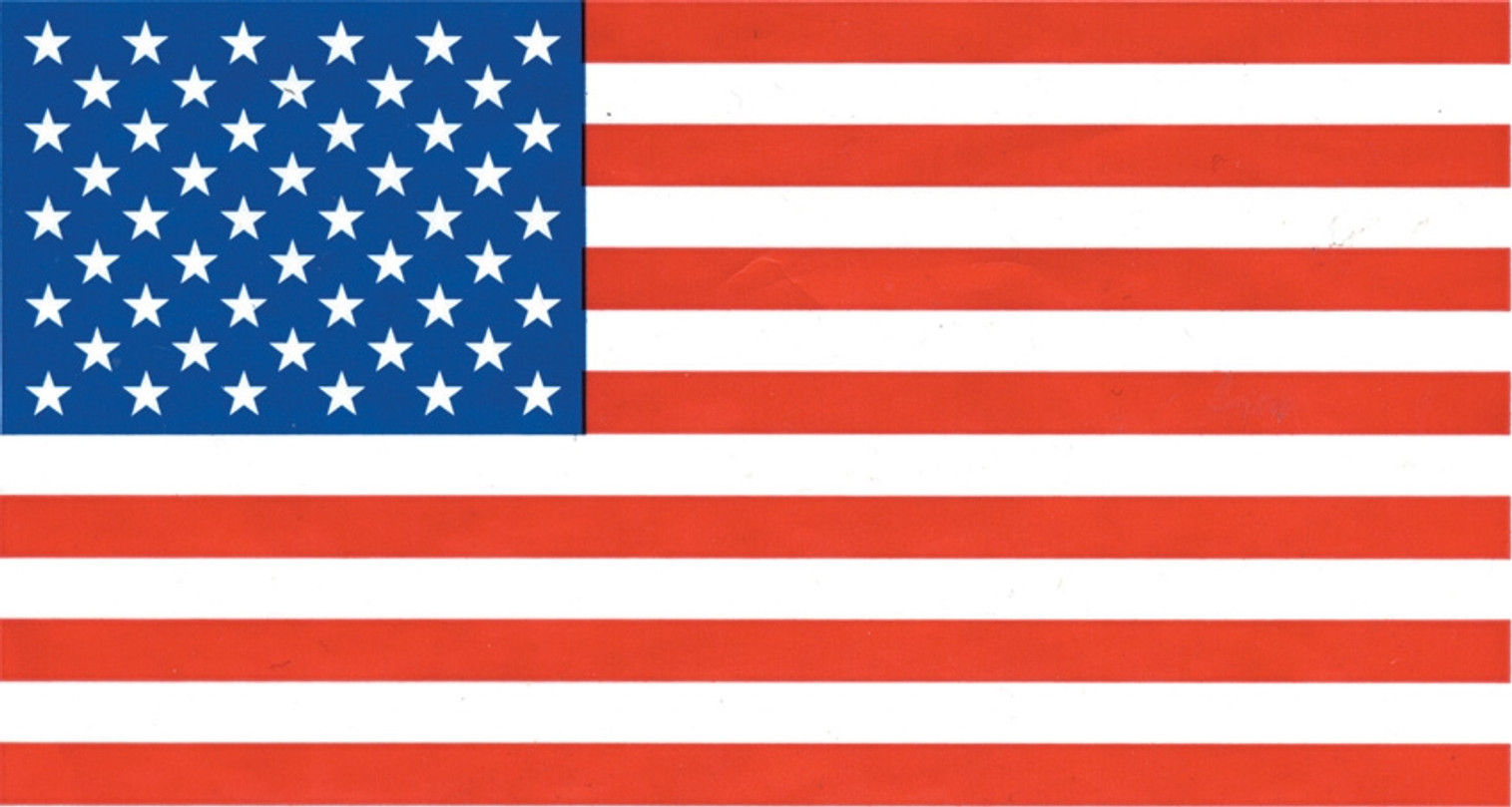 USA Flag FLAG6878