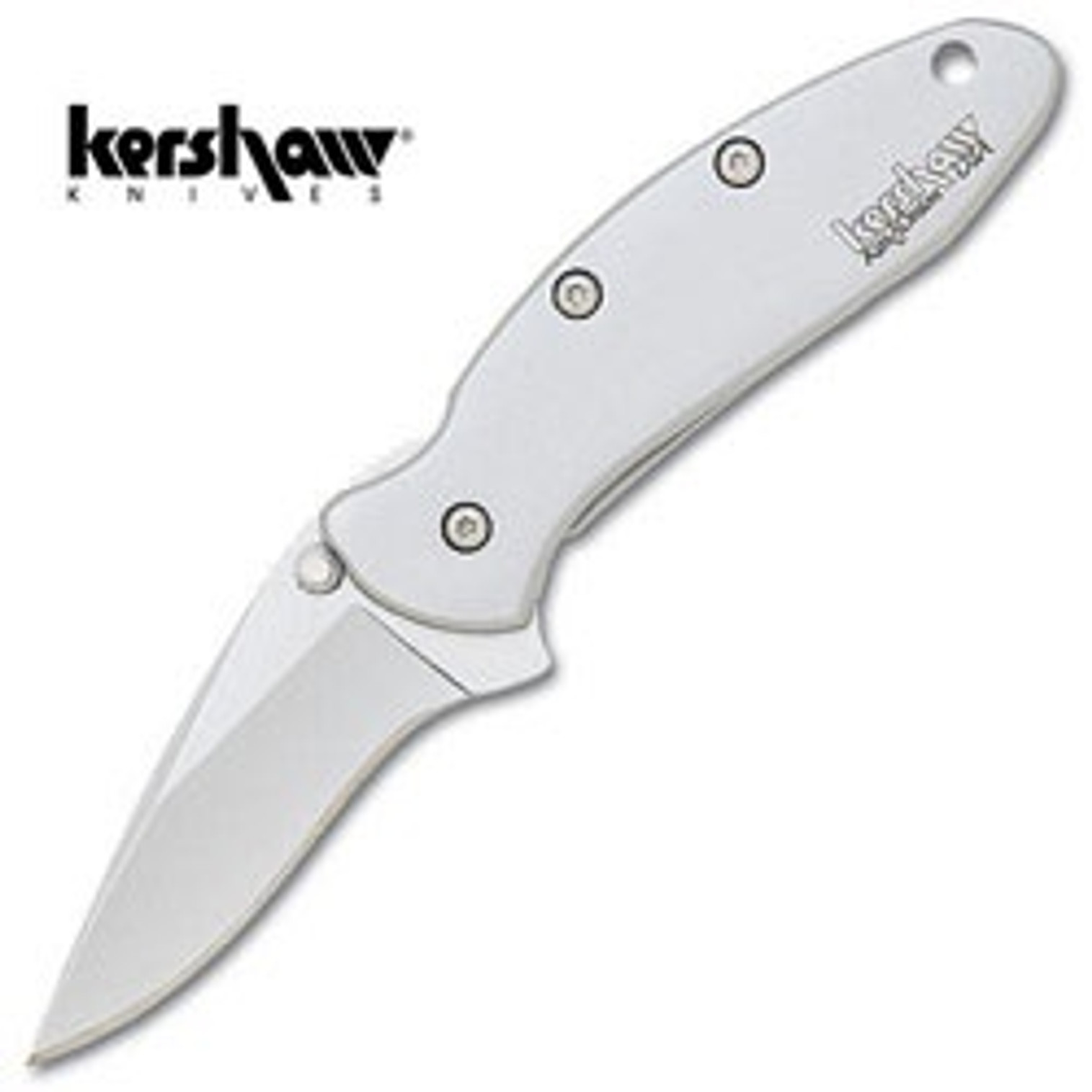 Kershaw 1600 Chive Stainless Assisted Opening