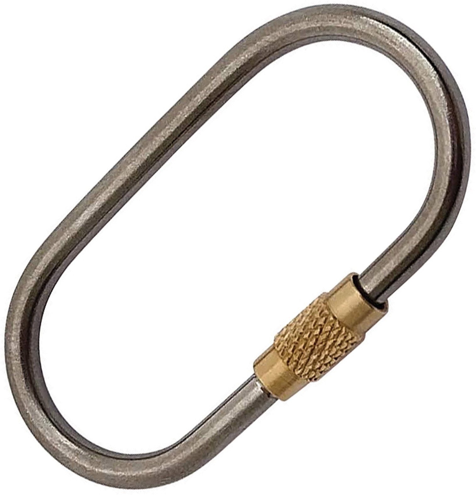 Ti Oval Keyring