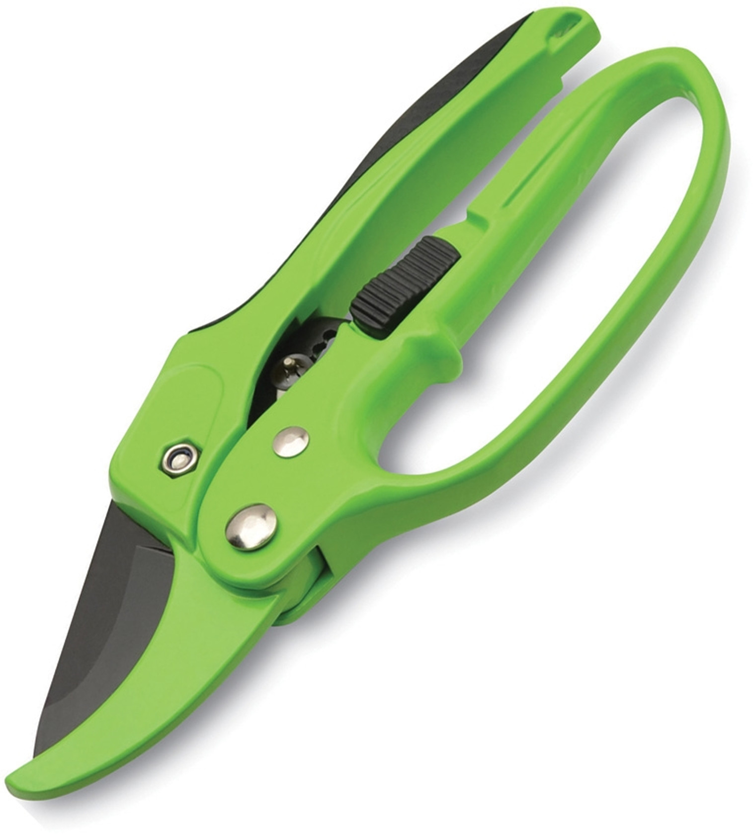 Heavy Duty Ratchet Shears