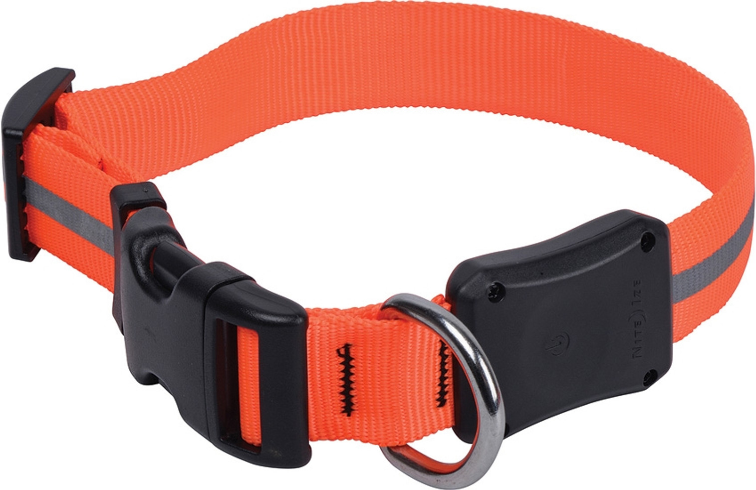 Nite Dawg LED Collar Medium