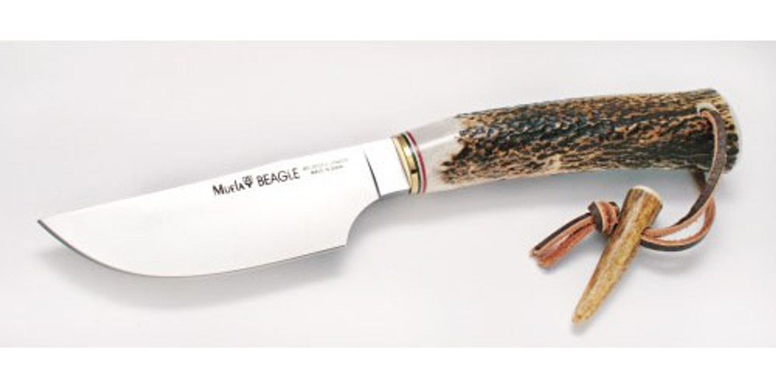 MUELA BEAGLE-11A, X50CrMoV15, 4-5/16" Fixed Blade Hunting Knife, Deer Horn Handle