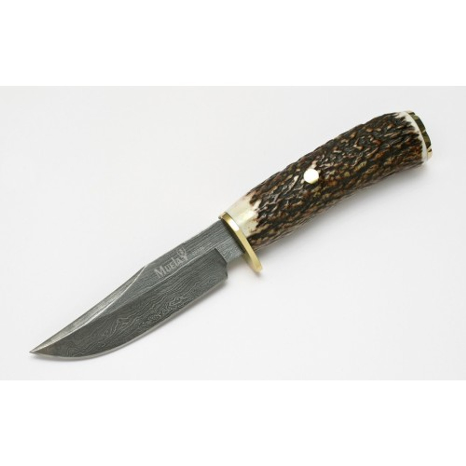 MUELA BRACO-11DAM, Damascus, 4-5/16" Fixed Blade Hunting Knife, Deer Horn Handle