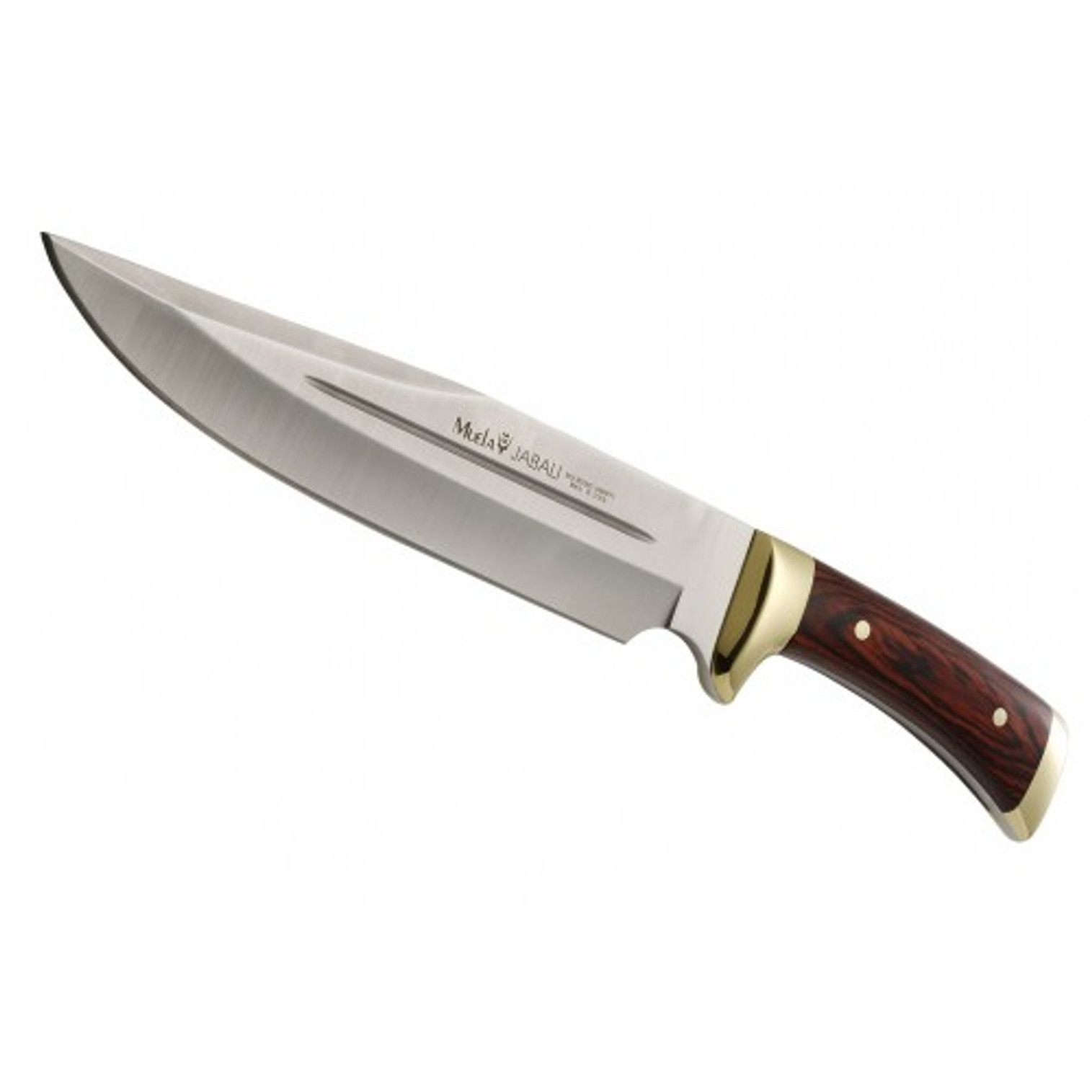 MUELA JABALI-21R, X50CrMoV15, 8-3/8" Fixed Blade Hunting Knife, Coral Pakkawood Handle