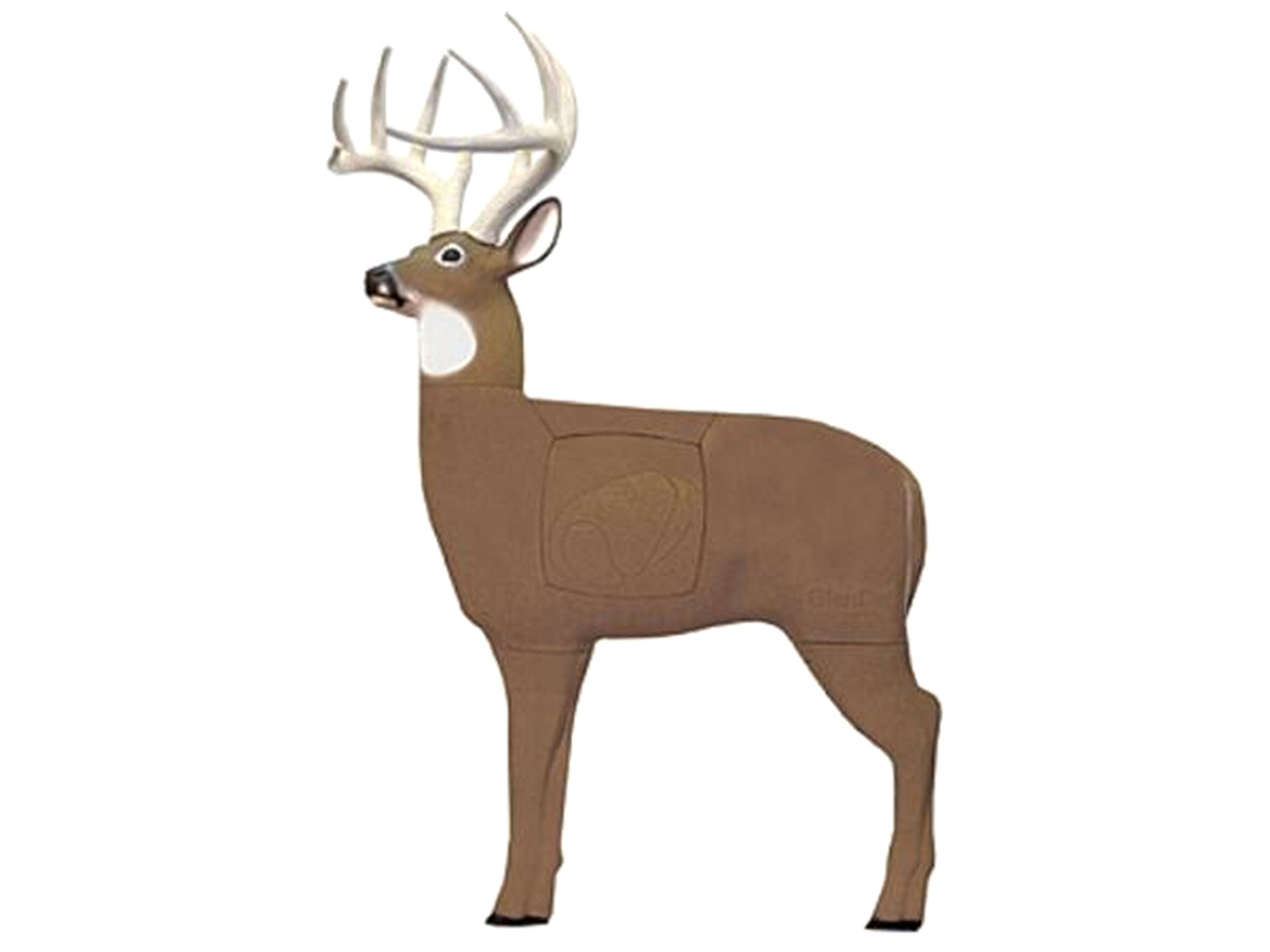 Glendel Pre-Rut Buck W/Vital Insert Target