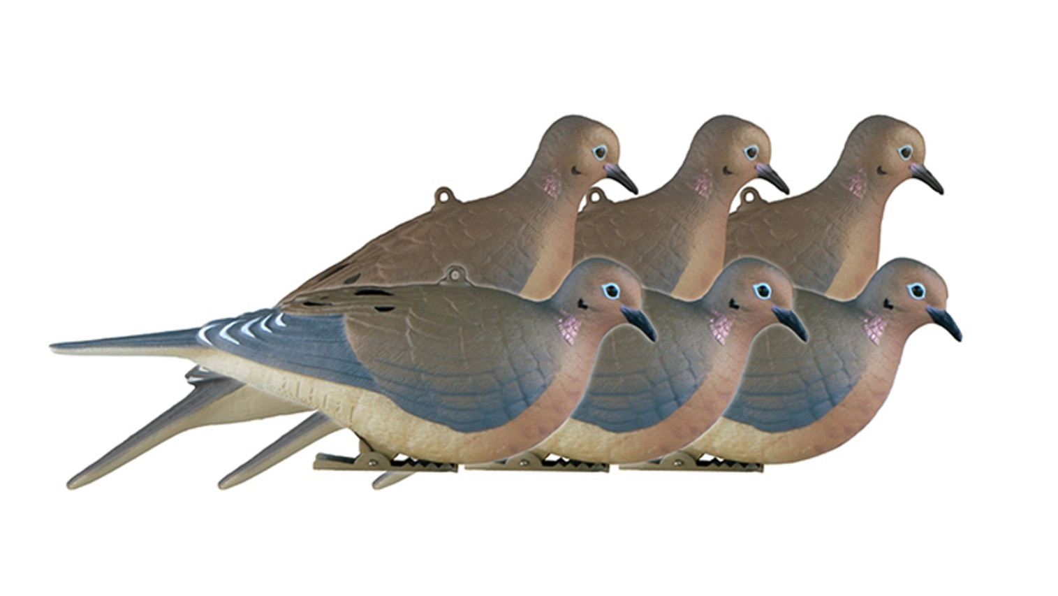 Mourning Doves 6 Pack