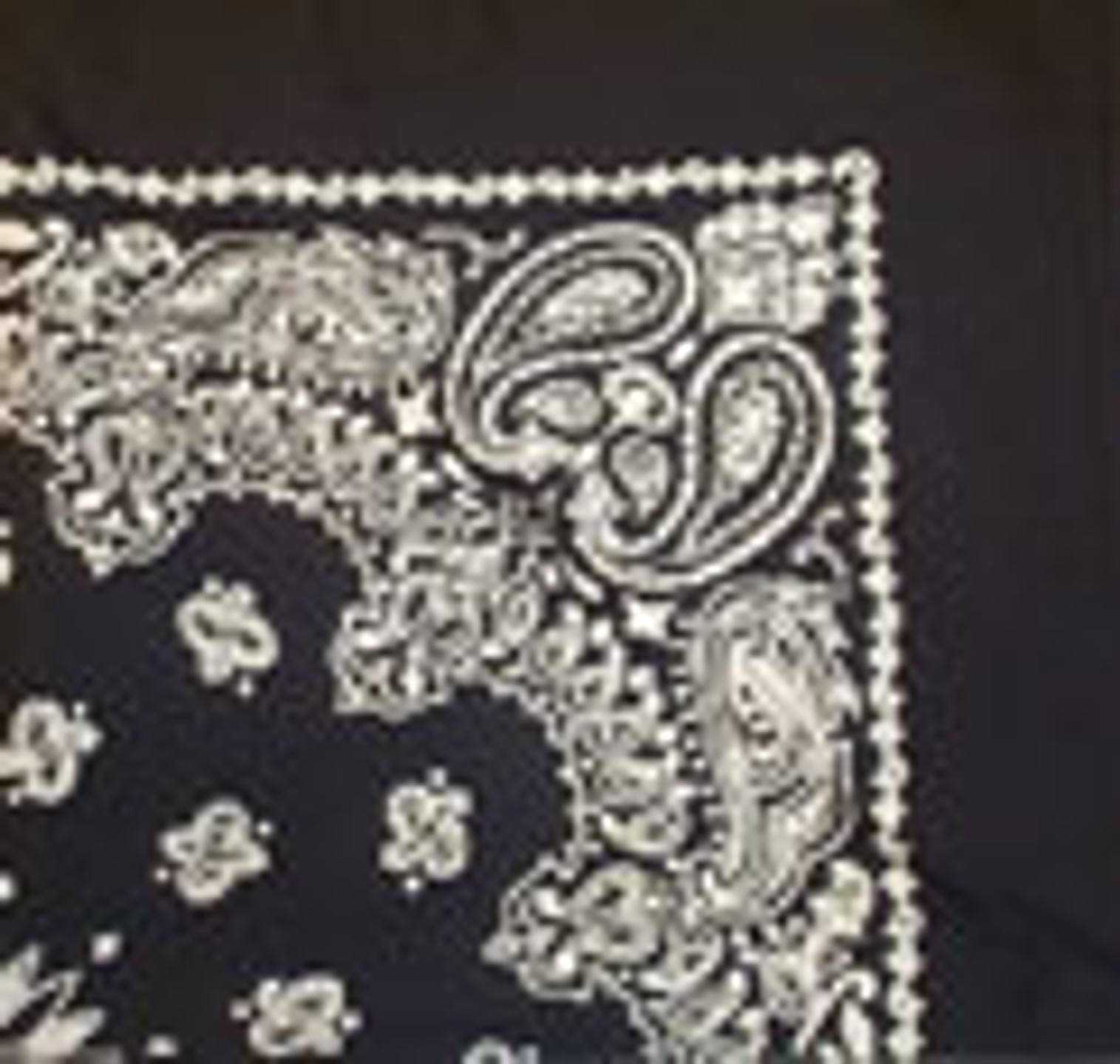 Rothco Trainmen Paisley Bandana - 22" X 22" - Black w/White Print