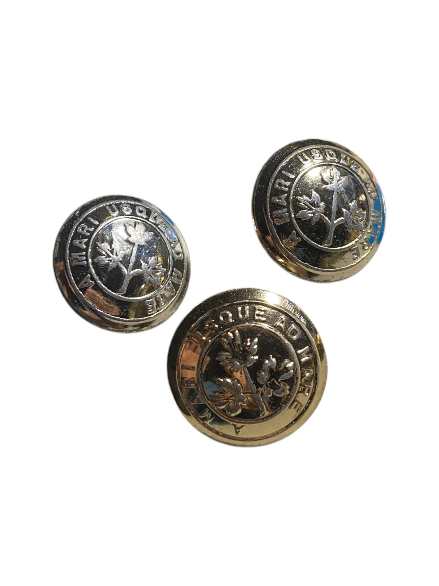 Royal Canadian Guards Uniform Buttons