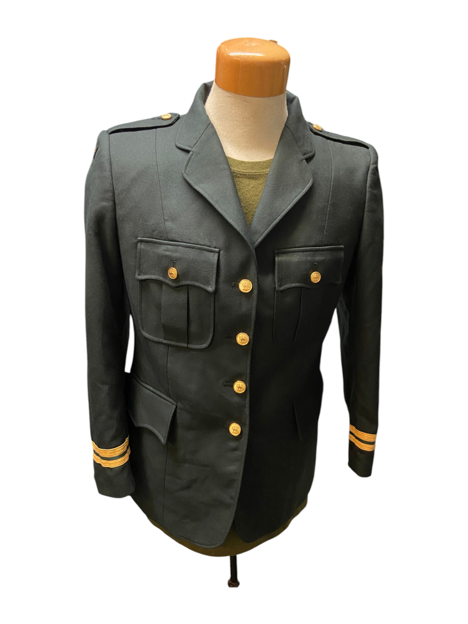 Canadian Armed Forces DEU Dress Jacket - 6739