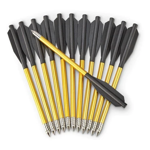 Bear Desire XL Crossbow Bolts - 12 Pack