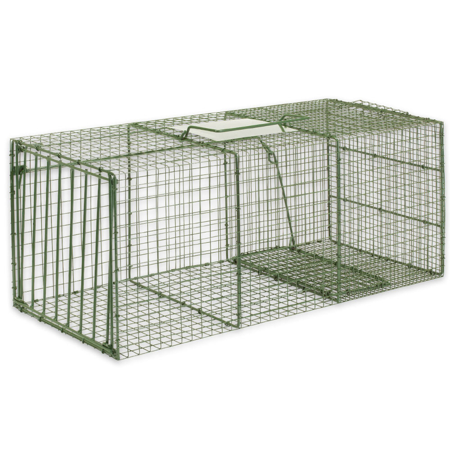 Duke Heavy Duty Extra Large Non-Lethal Cage Trap - Large Raccoons, Foxes, Cats and More