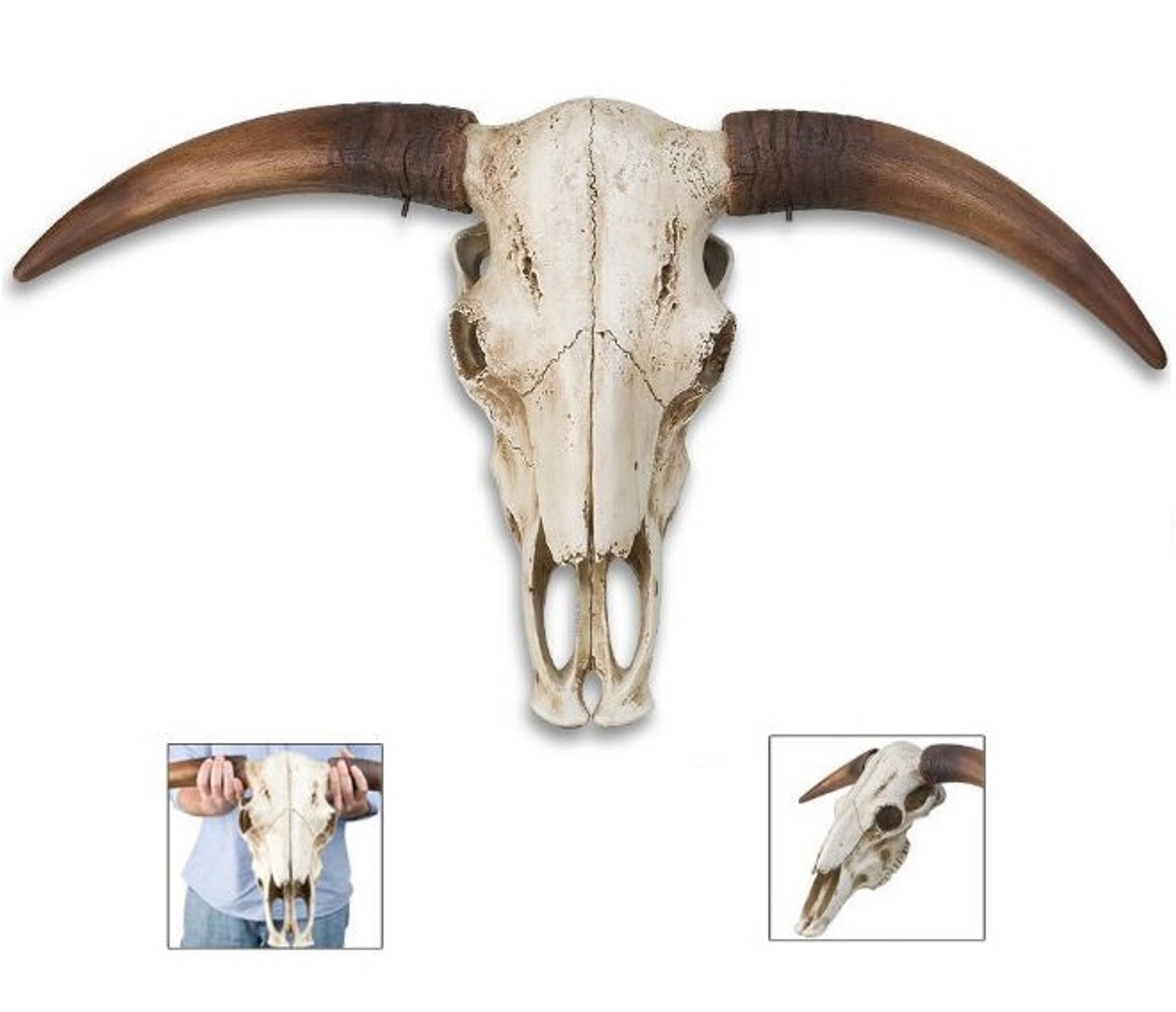 Full Size Bull Steer Cast Resin Skull