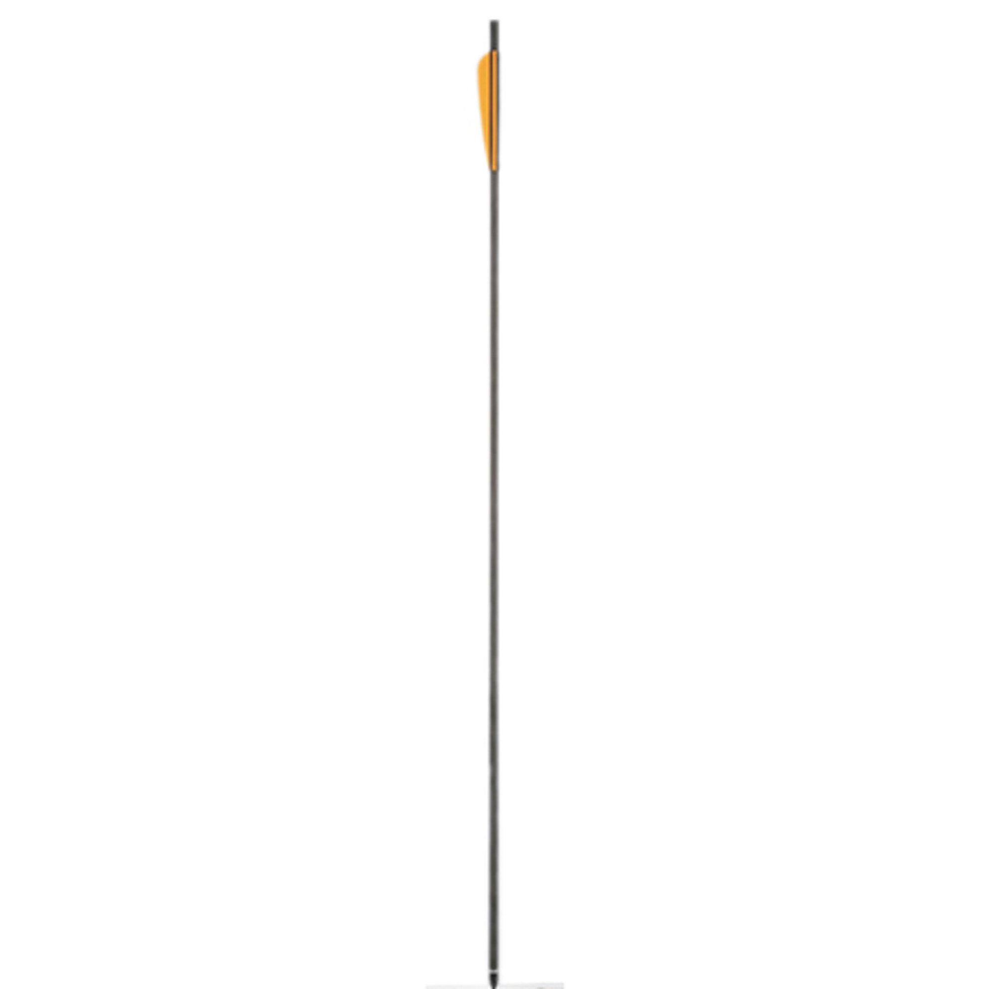 Four Point 30" Carbon Arrows