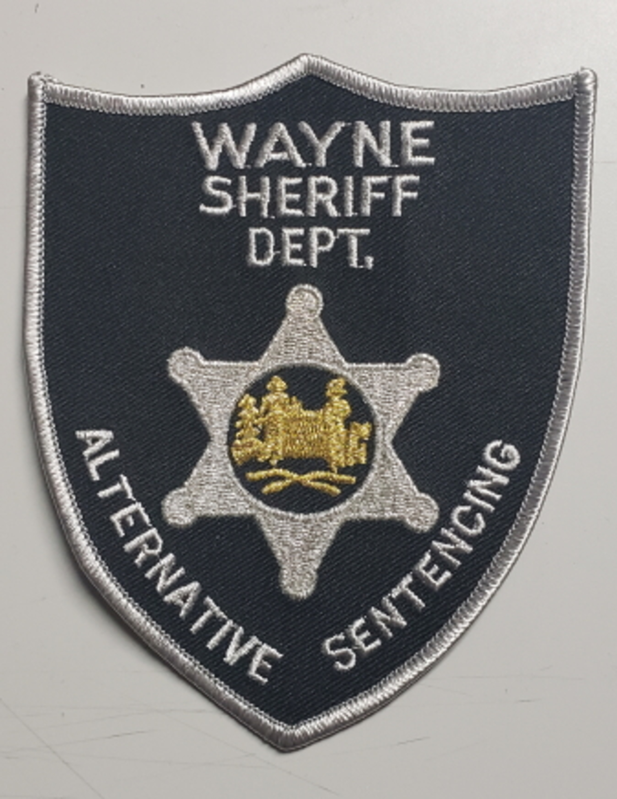 Wayne Sheriff Dept. Alternative Sentencing WV Police Patch - SILVER