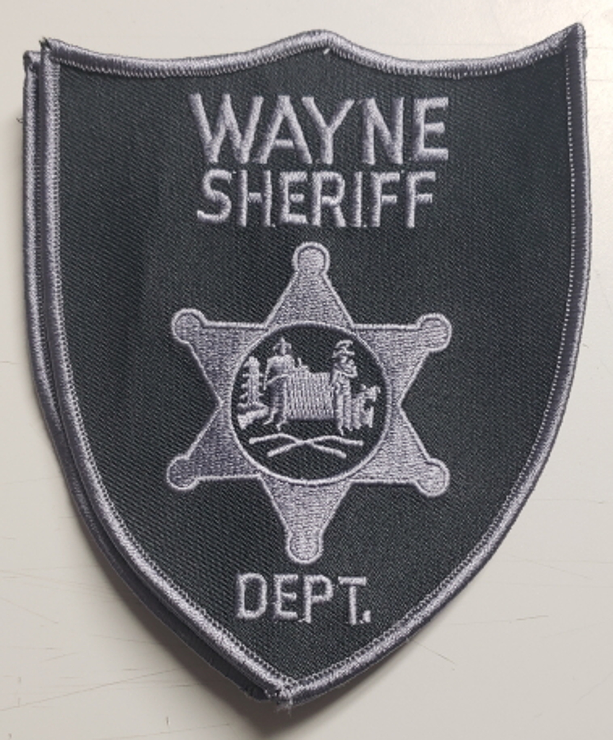 Wayne Sheriff Dept. WV Police Patch