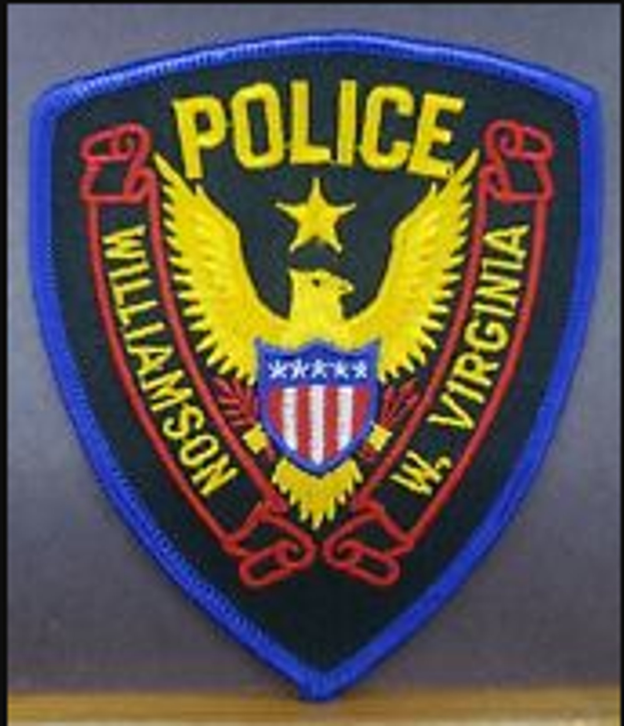 Williamson WV Police Patch