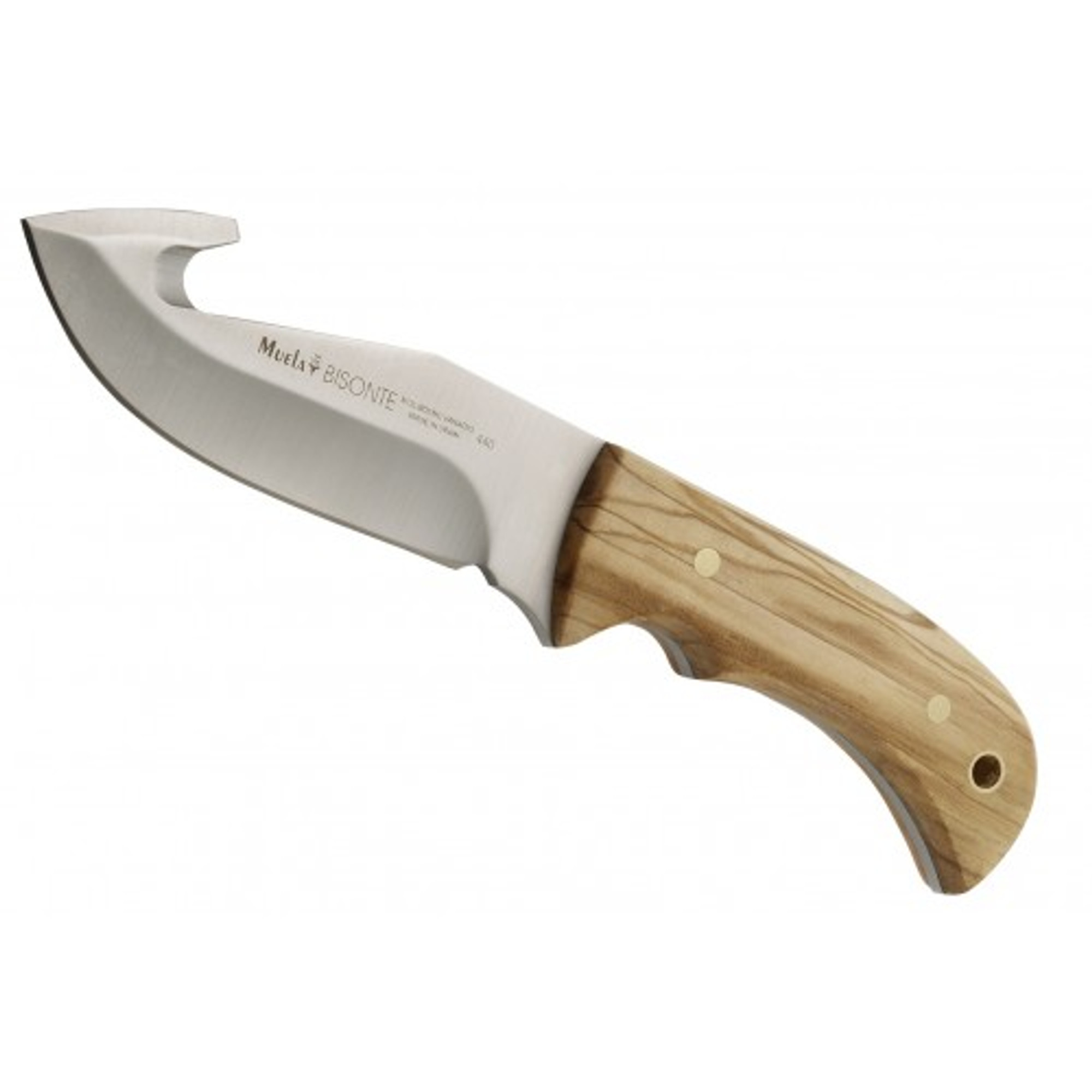 MUELA BISONTE-11OL, X50CrMoV15, 4-1/2" Fixed Blade Hunting Knife, Olivewood Handle