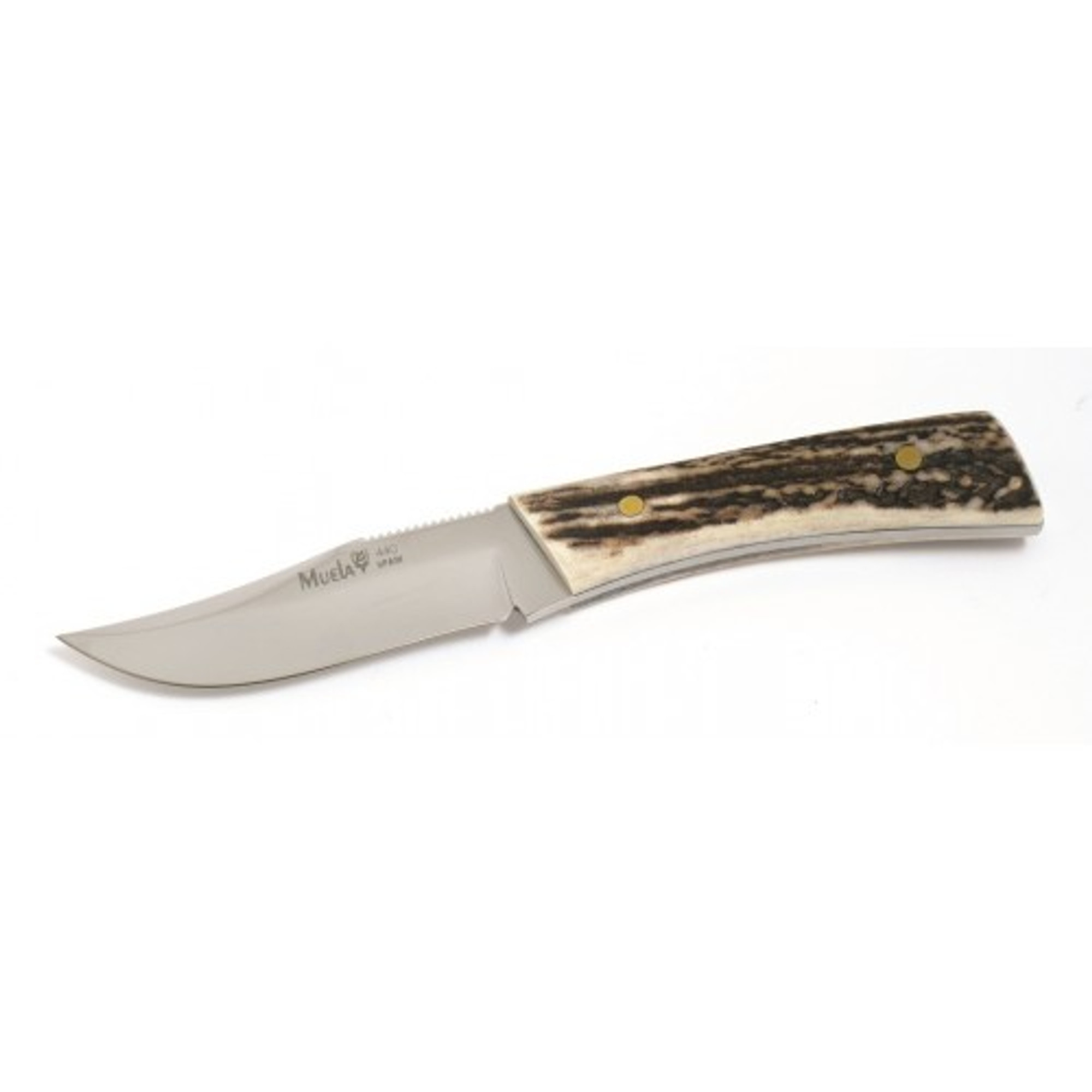 MUELA BWE-8A, X50CrMoV15, 3-1/8" Fixed Blade Hunting Knife, Deer Horn Handle