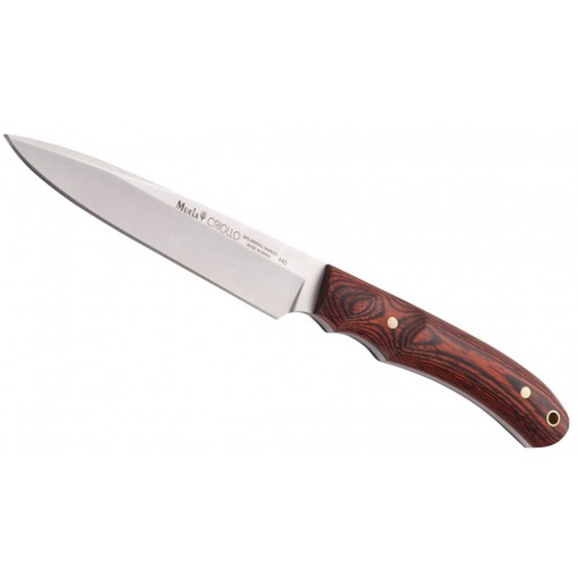 MUELA CRIOLLO-14, X50CrMoV15, 5-5/16" Fixed Blade Hunting Knife, Coral Pakkawood Handle