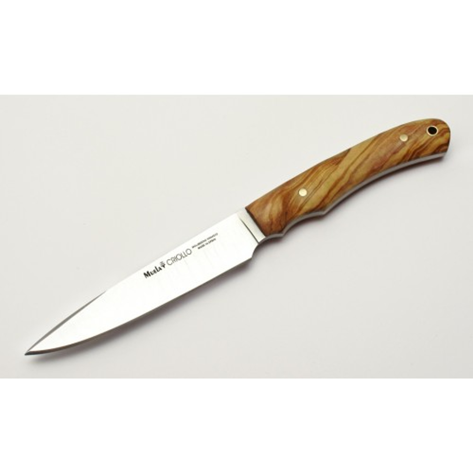 MUELA CRIOLLO-14OL, X50CrMoV15, 5-5/16" Fixed Blade Hunting Knife, Olivewood Handle