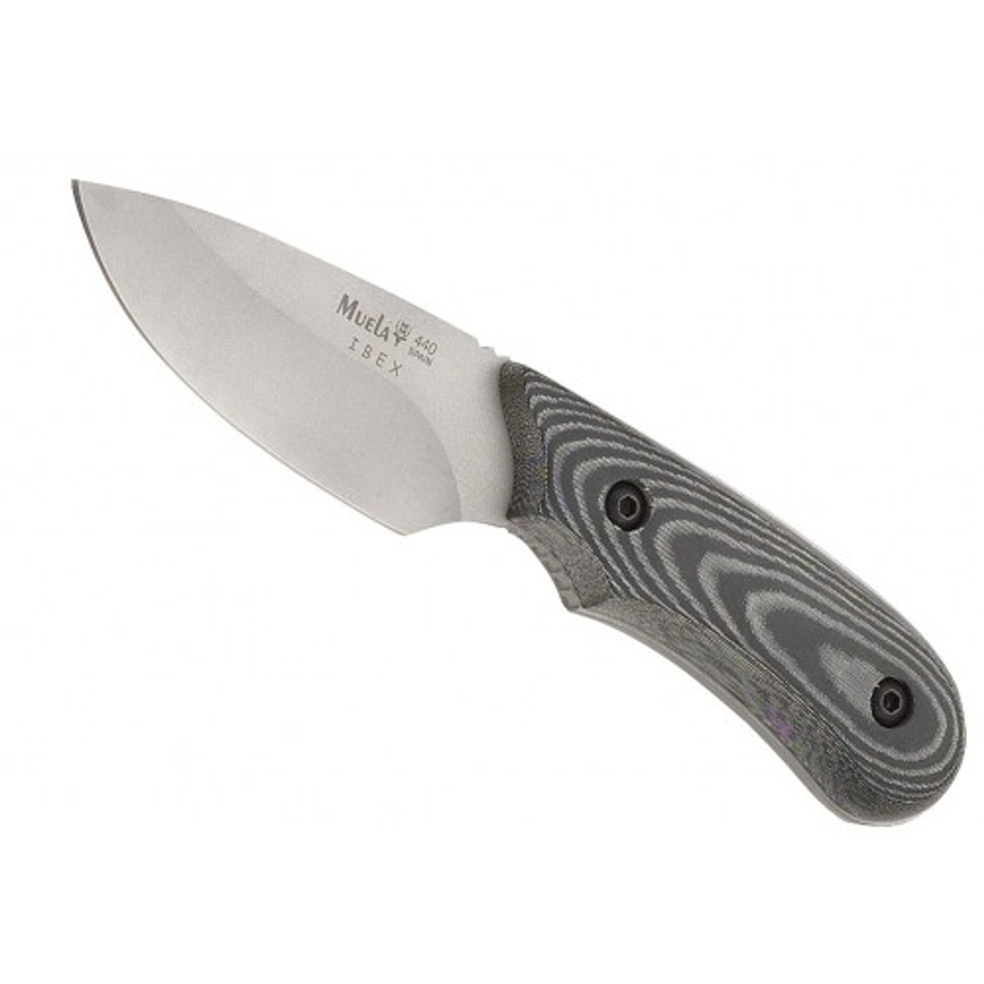 MUELA IBEX-8M, X50CrMoV15, 2-3/4" Fixed Blade Skinning Knife, Black Micarta Handle