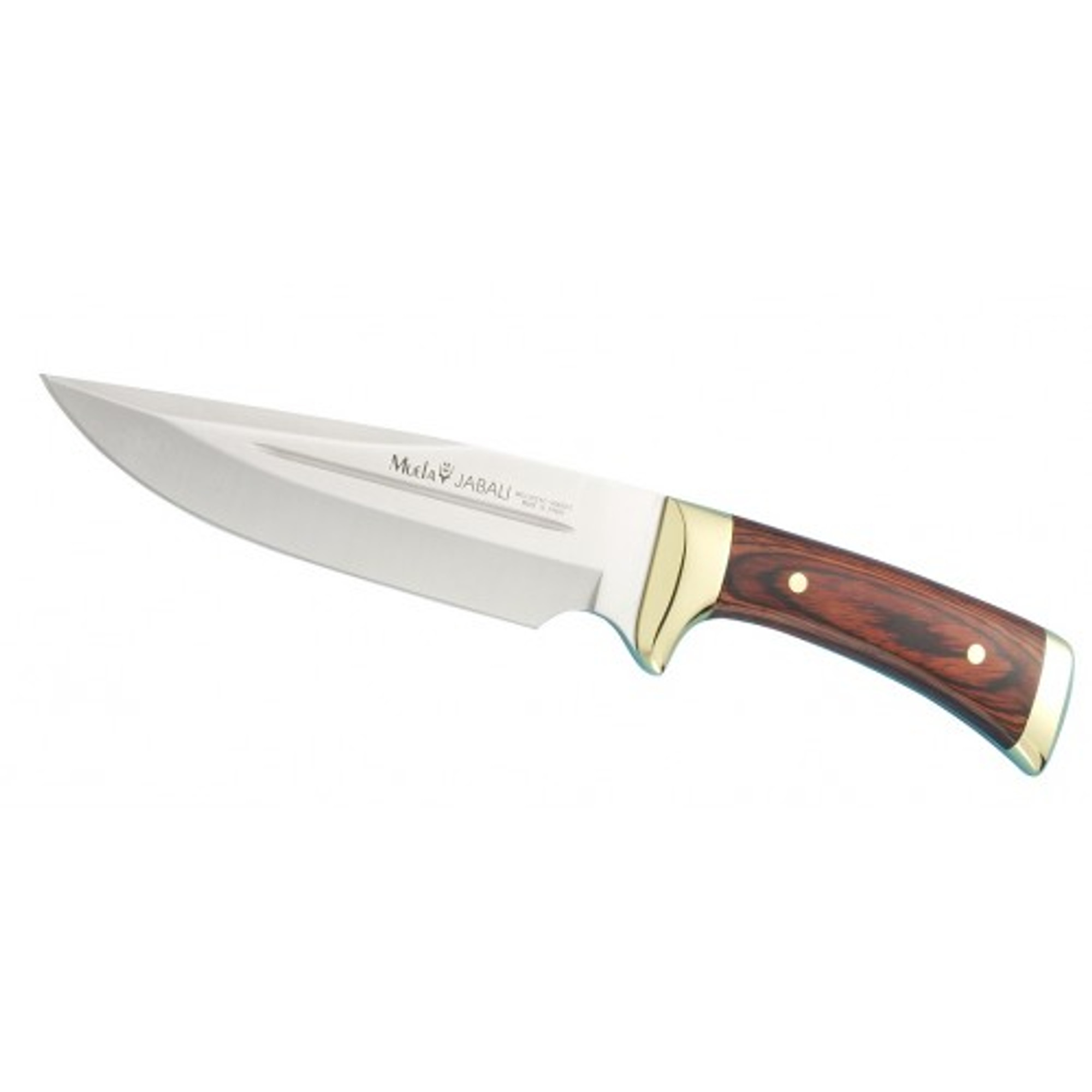 MUELA JABALI-17R, X50CrMoV15, 6-1/8" Fixed Blade Hunting Knife, Coral Pakkawood Handle