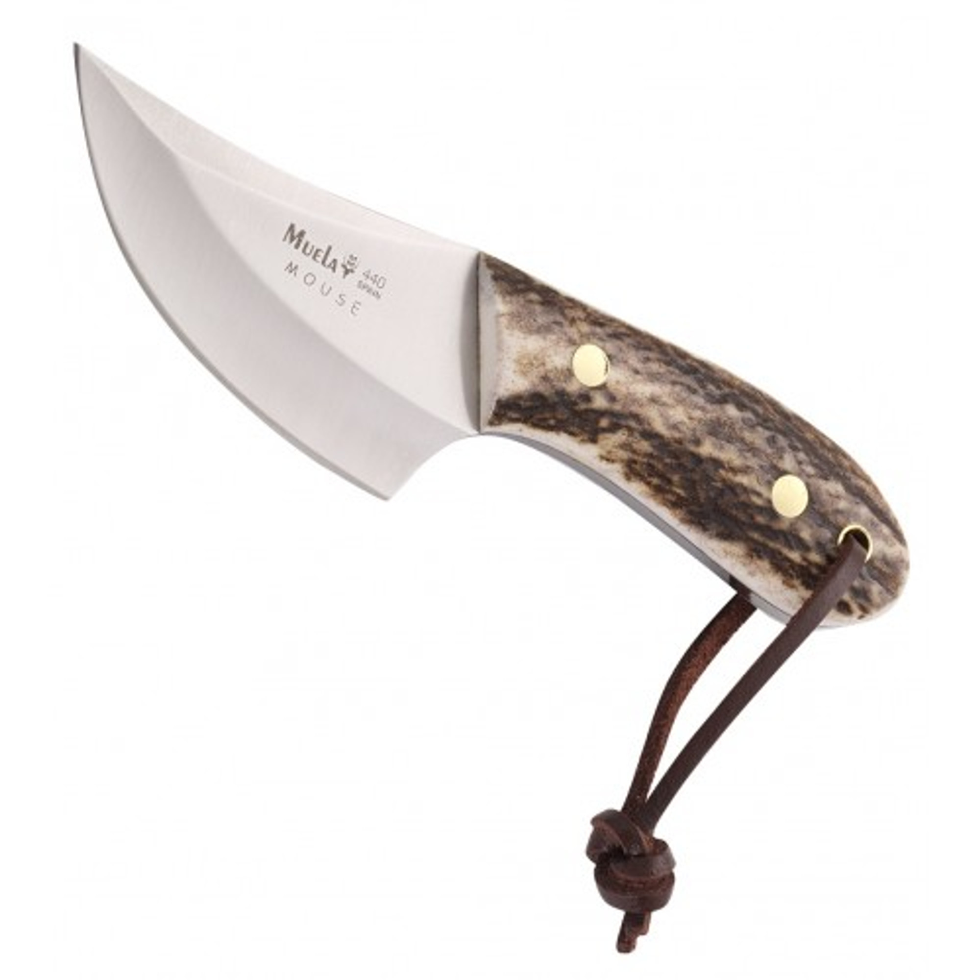 MUELA MOUSE-7A, X50CrMoV15, 2-3/4" Fixed Blade Skinning Knife, Deer Horn Handle