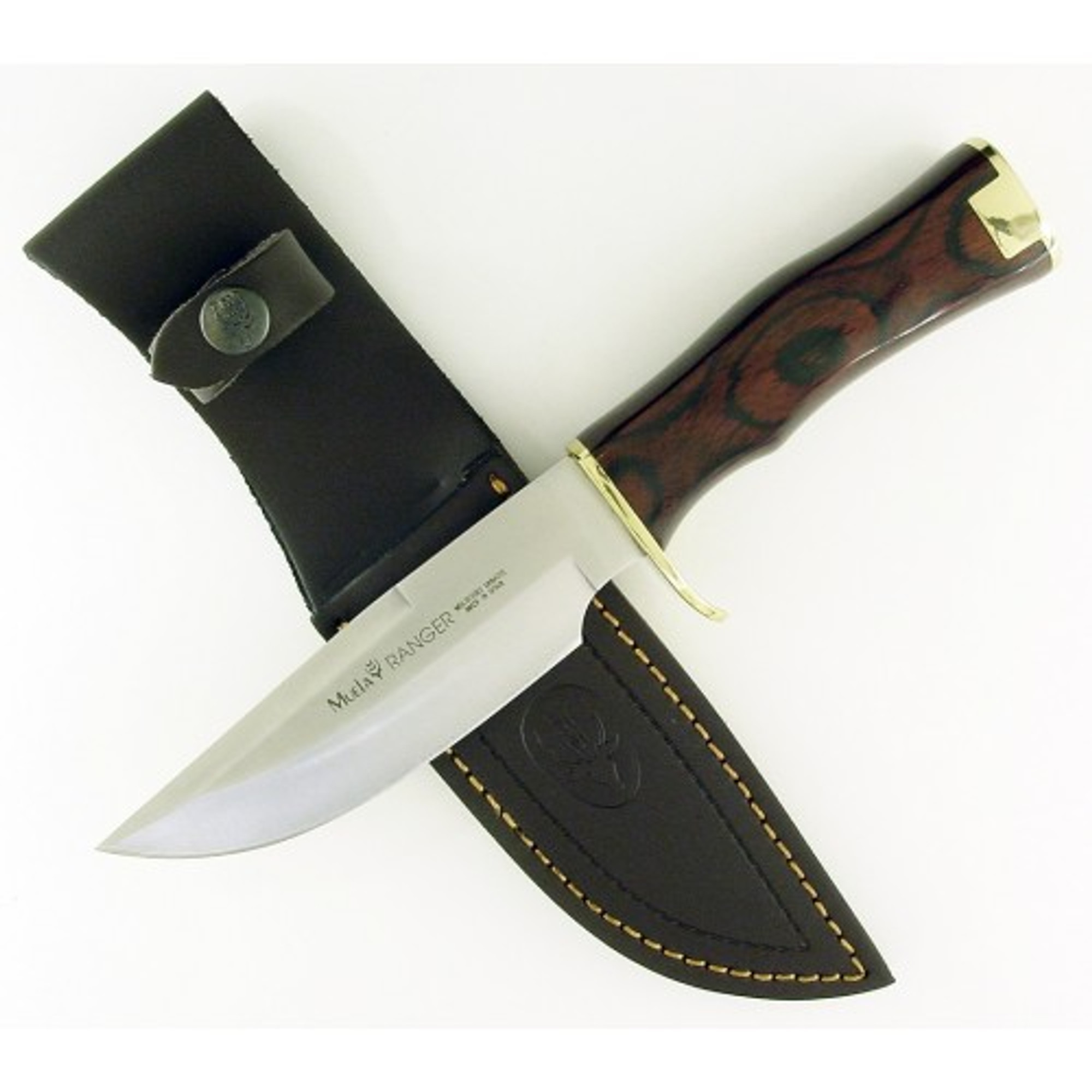 MUELA RANGER-13, X50CrMoV15, 5-1/4" Fixed Blade Hunting Knife, Coral Pakkawood Handle