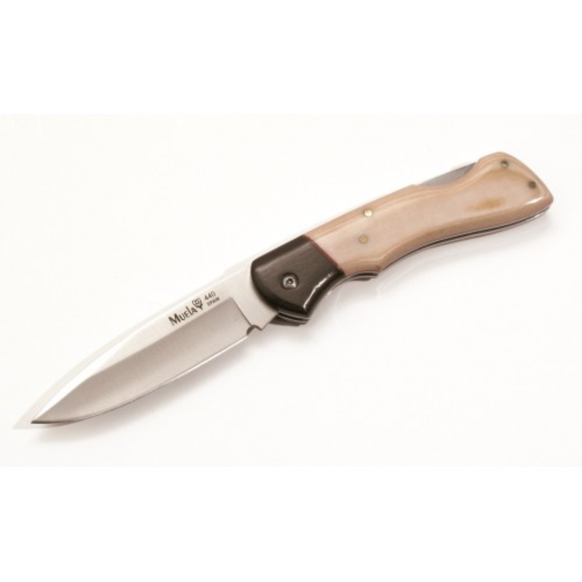 MUELA VX-8B, X50CrMoV15, 3-1/8" Fixed Blade Knife, Micarta Bone Handle