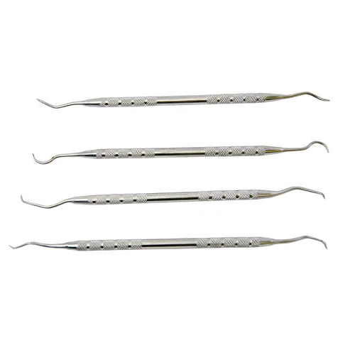 Stainless Steel Cleaning Picks 4 Pc Set