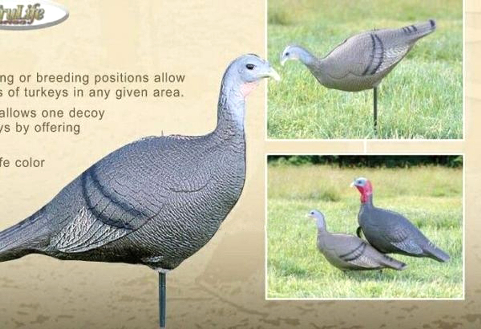 Turkey Hen Decoy W/Stake