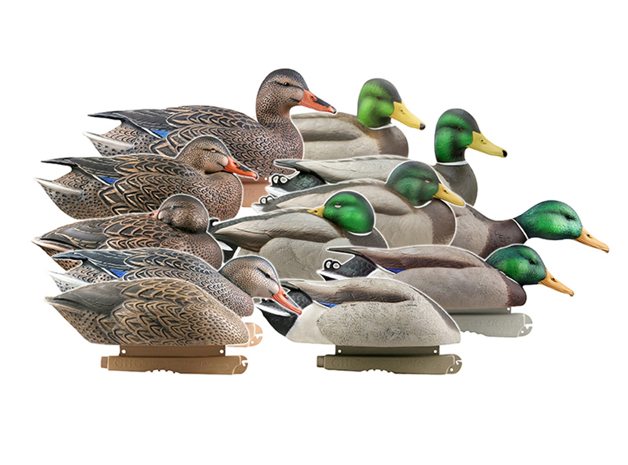 Mallards Harvester 12 Pk