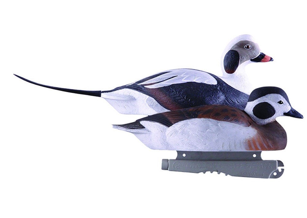 Pro Grade Long-Tailed Ducks 6 Pack