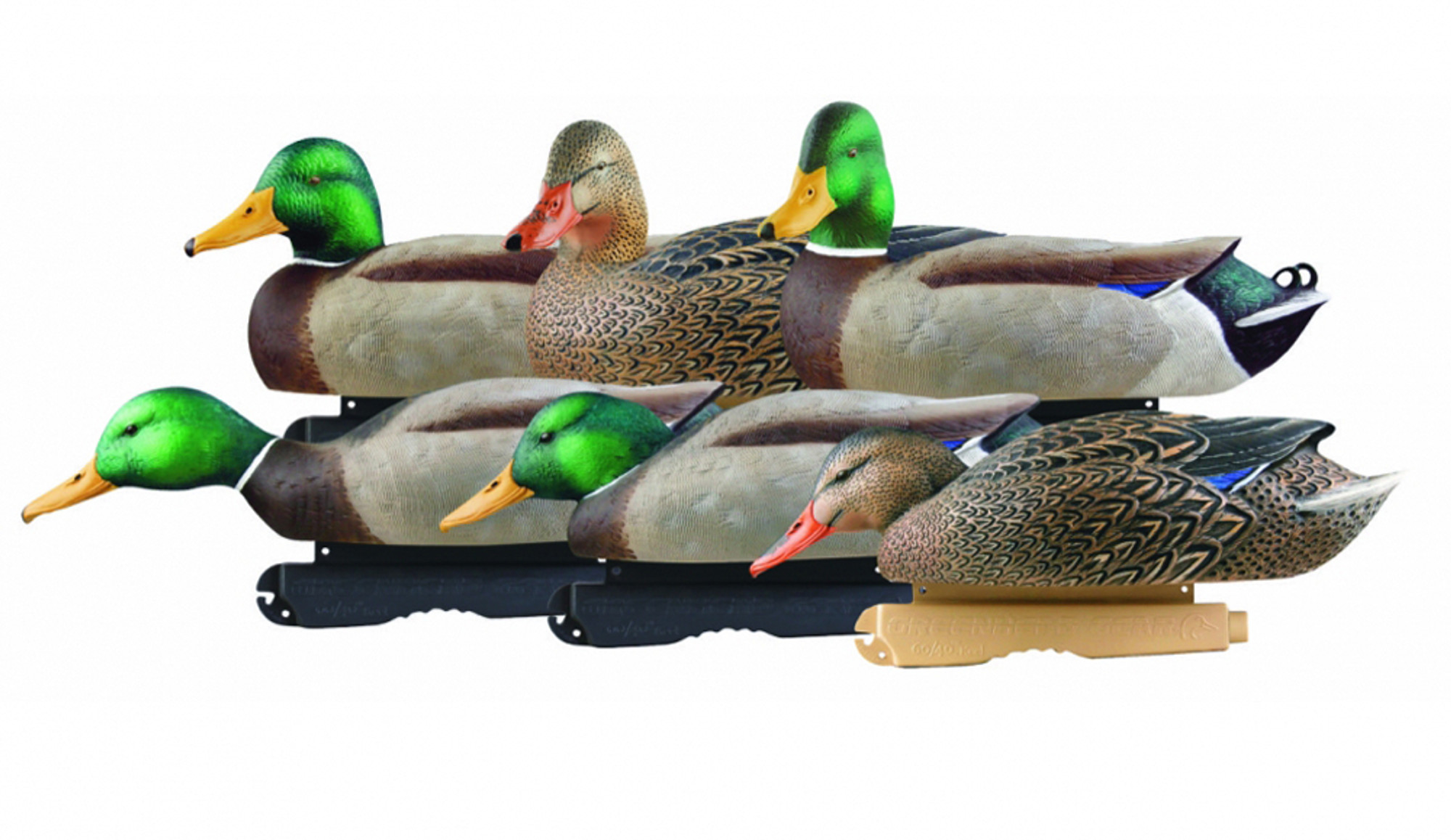 Foam Filled Mallards Harvester 6 Pk