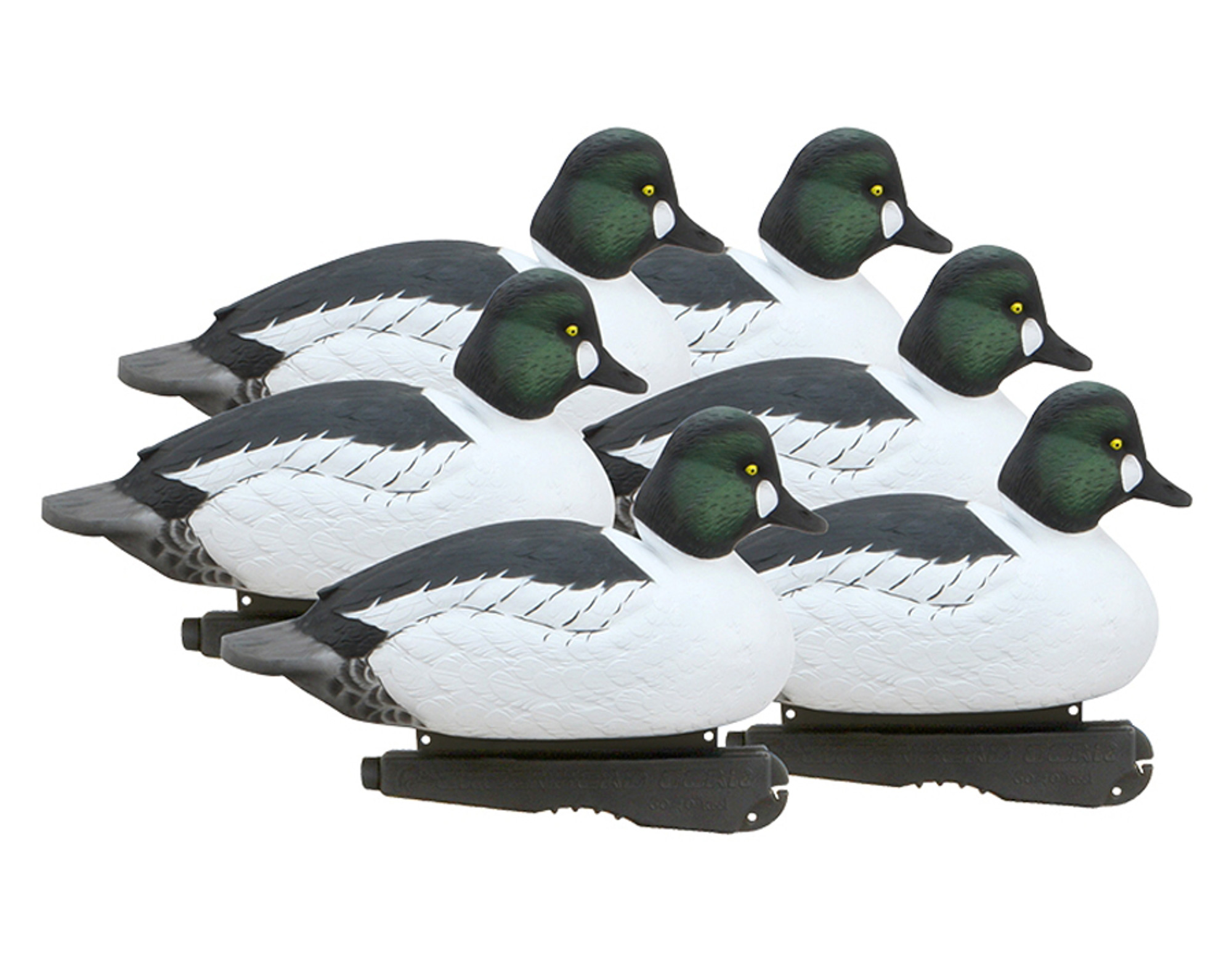 Over Size Goldeneyes 6 Pack Foam Filled