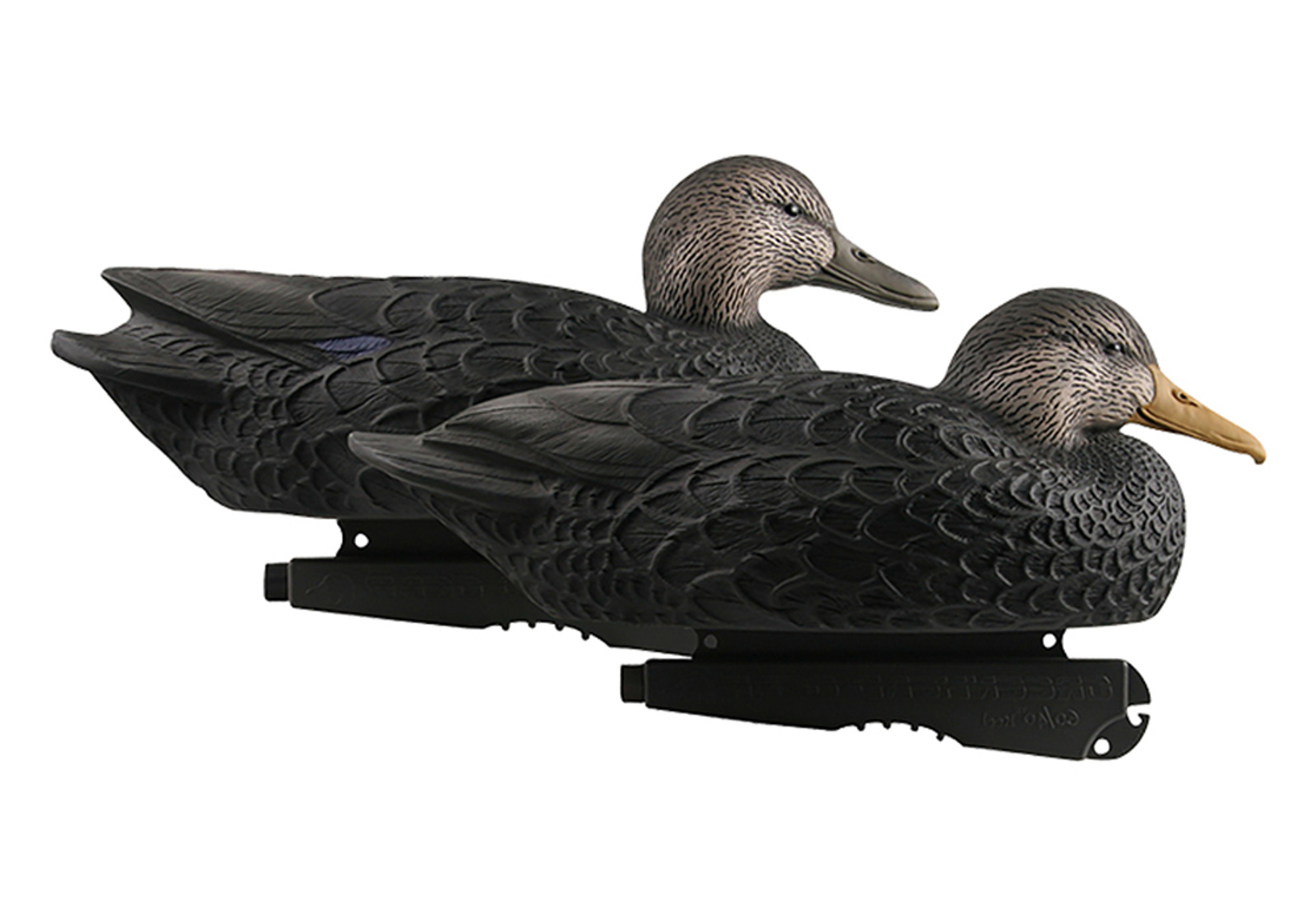 Oversize Black Ducks 6Pk