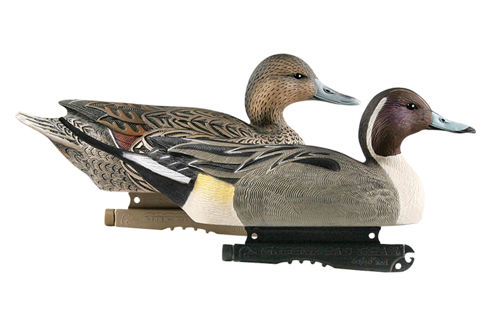 Life Size Pintails 6Pk