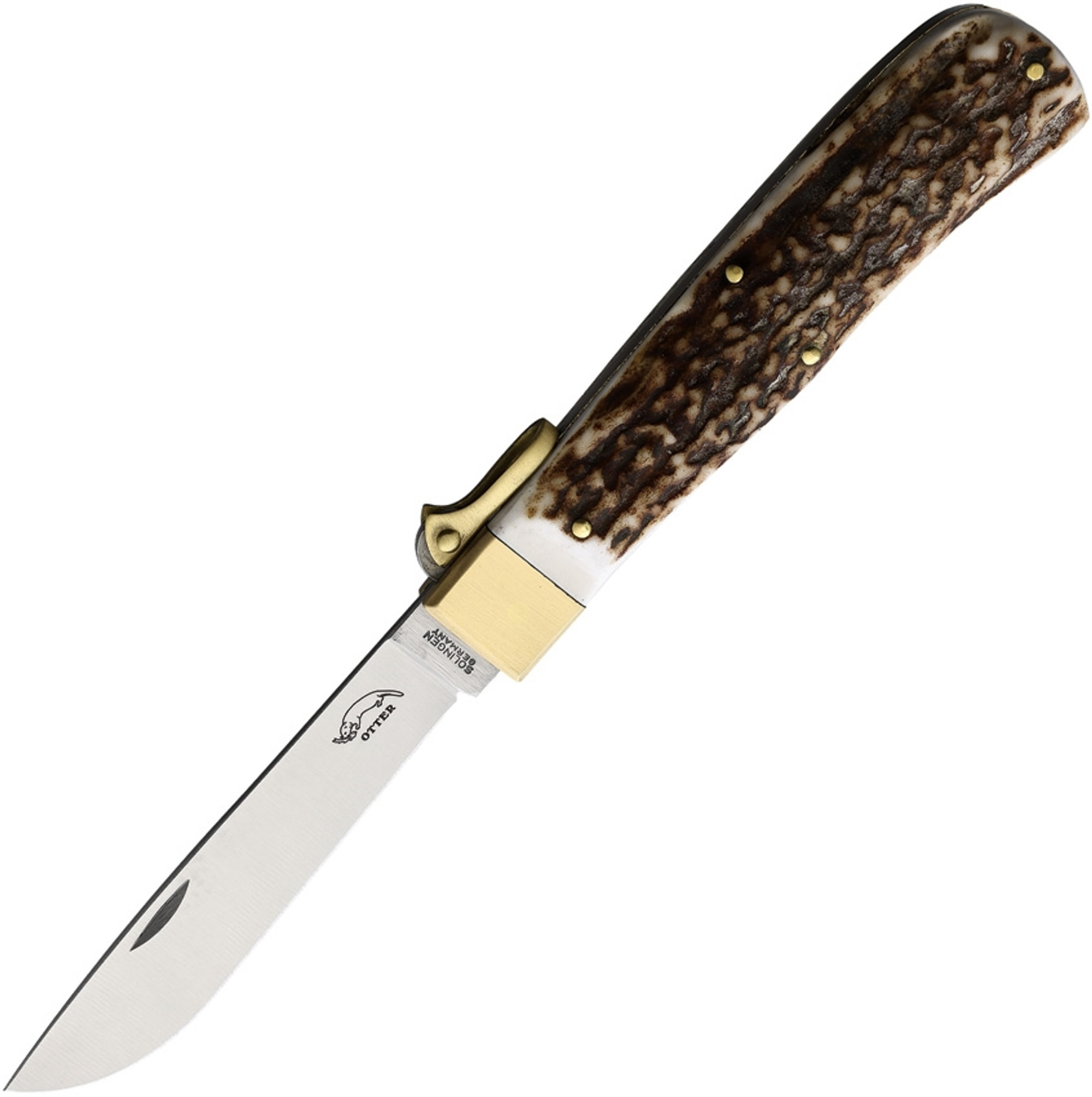 Hunting Pocket Knife Stainless