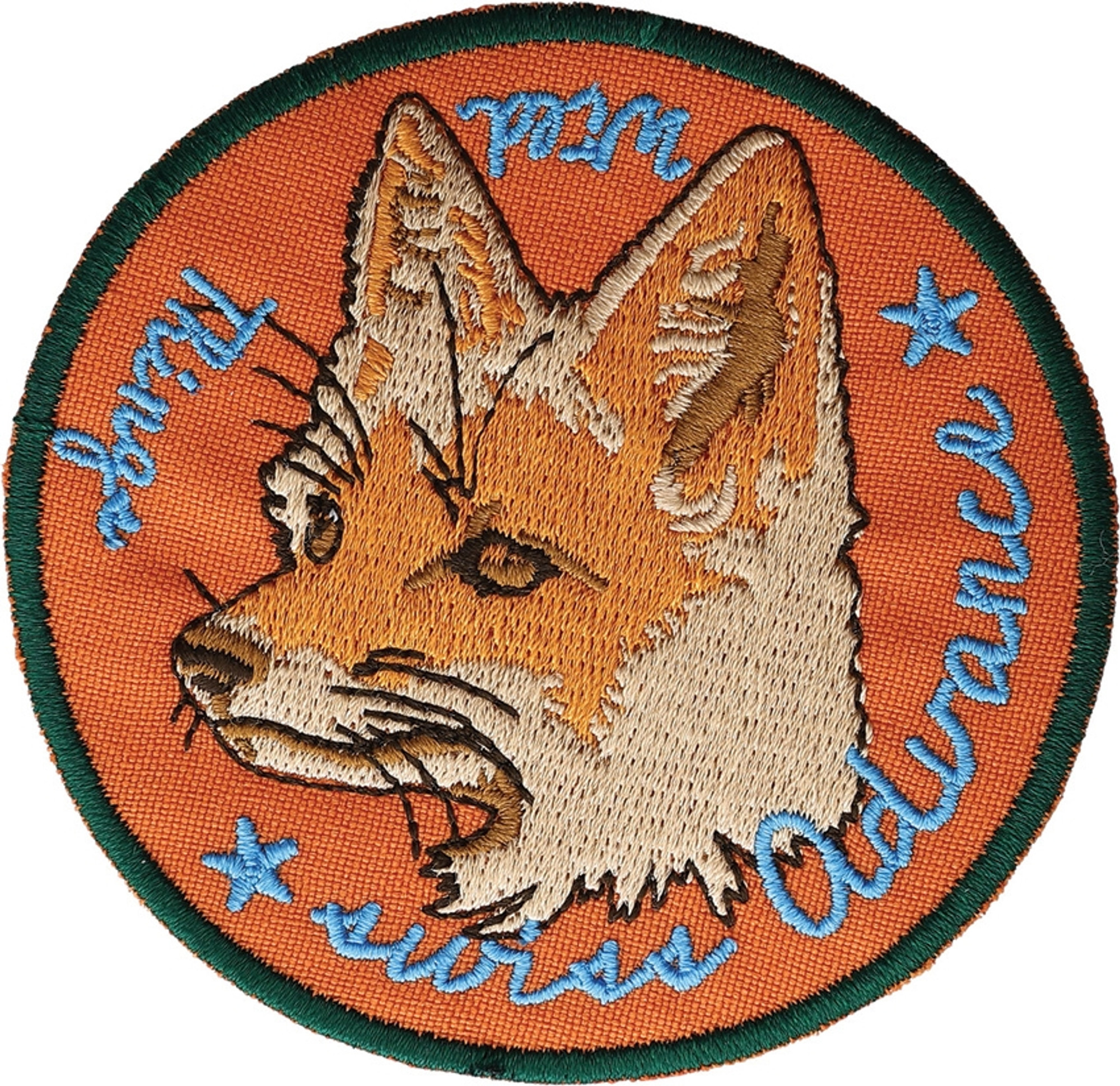 FOX Cotton Patch Orange