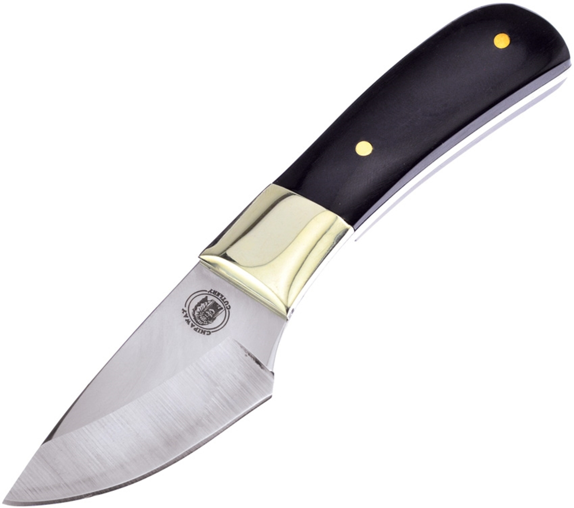 Lakota Skinner Buffalo Horn