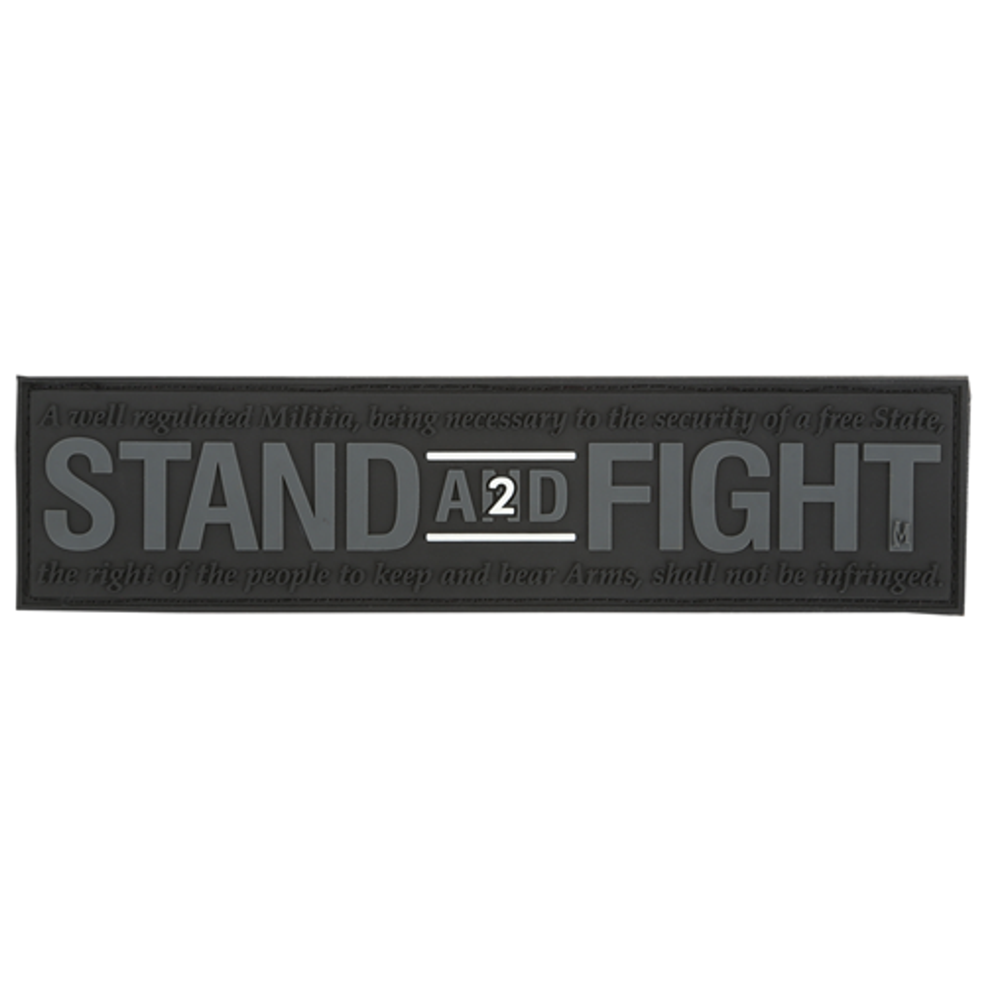 Stand And Fight 2nd Amendment Morale Patch