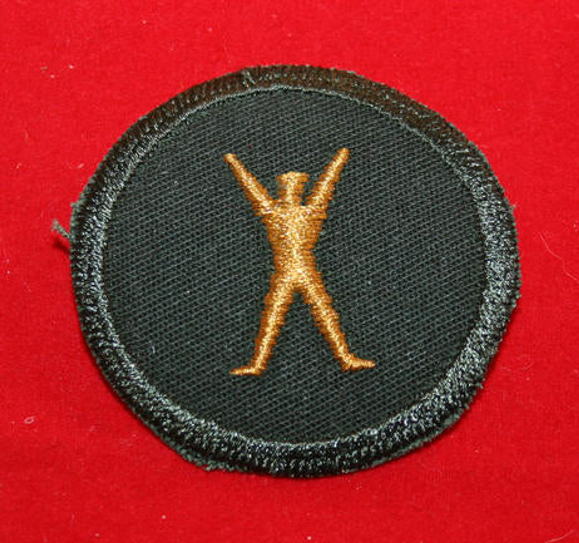 Canadian Armed Forces Physical Education & Recreation Instructor Trade Grp 1 Badge