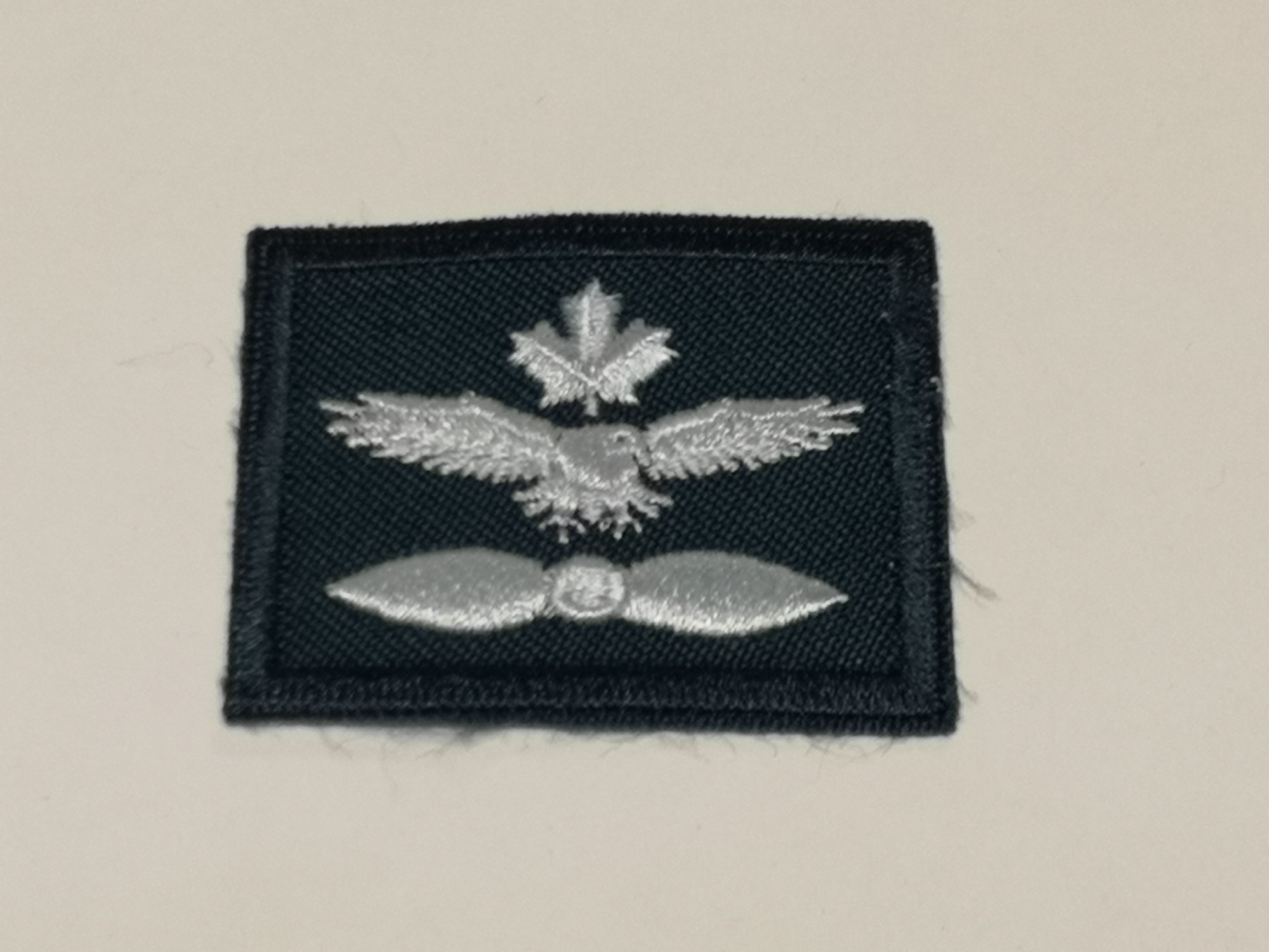 Canadian Air Cadets Proficiency Badge - Level 1