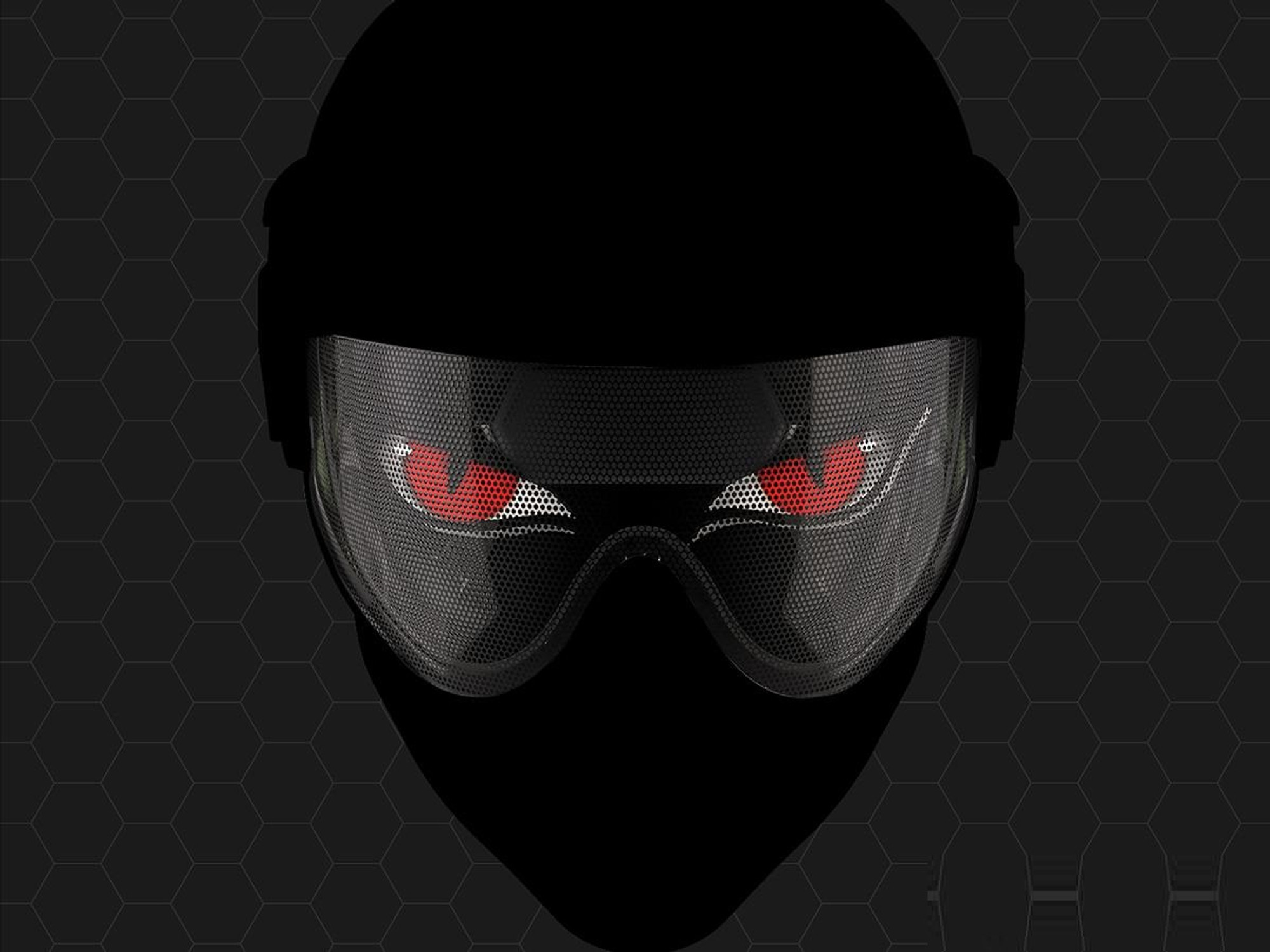 WARQ Printed Lens Screen for WARQ Helmets (Color: Panther)