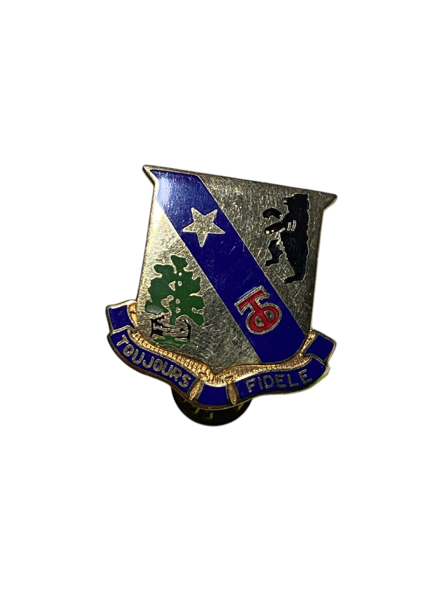 U.S. Armed Forces 360th Infantry Regiment Badge