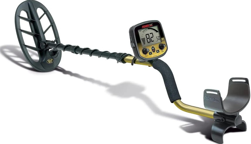 Fisher Gold Bug DP with 11-Inch DD