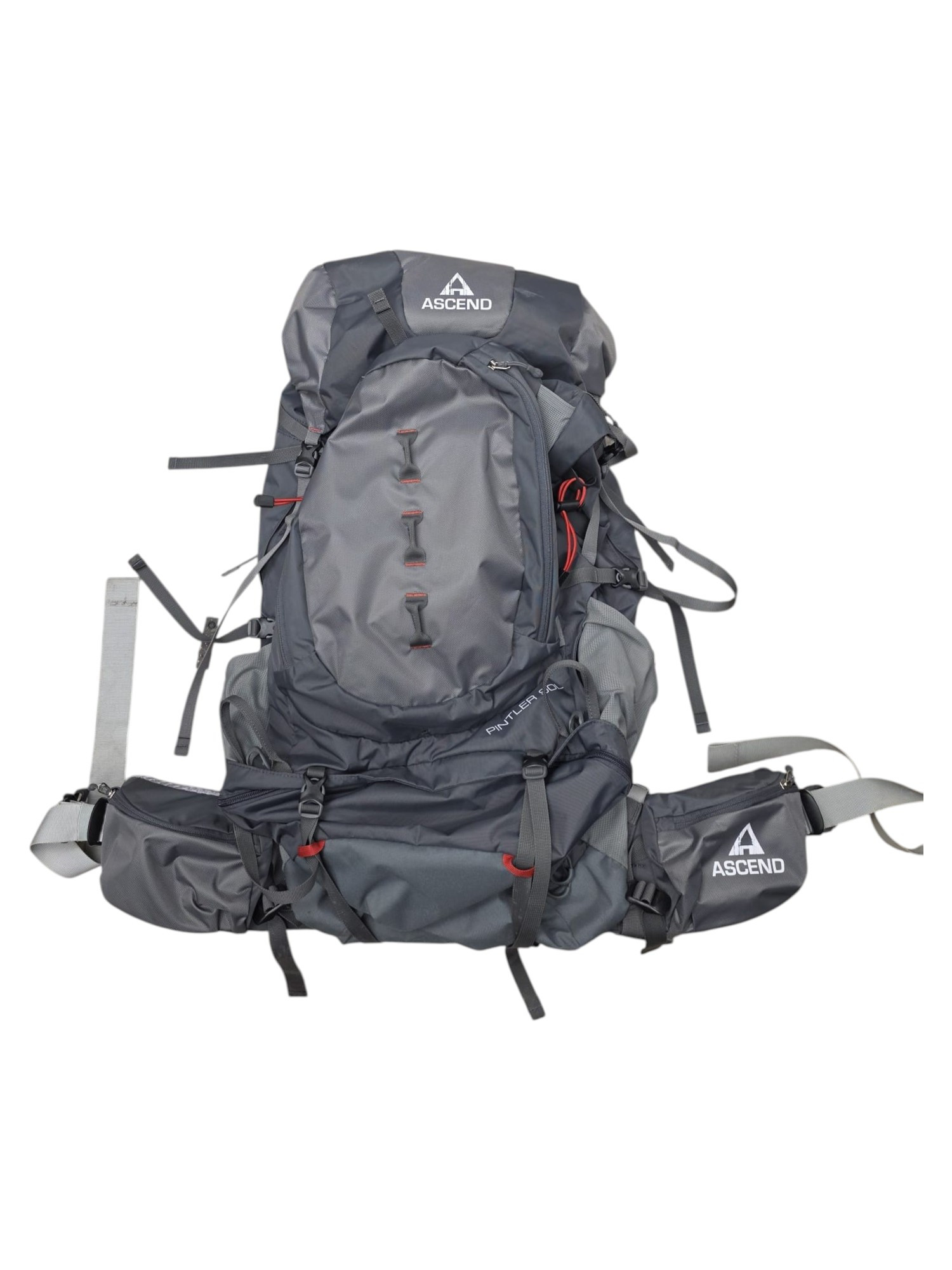 Ascend Pintler 90L Backpack