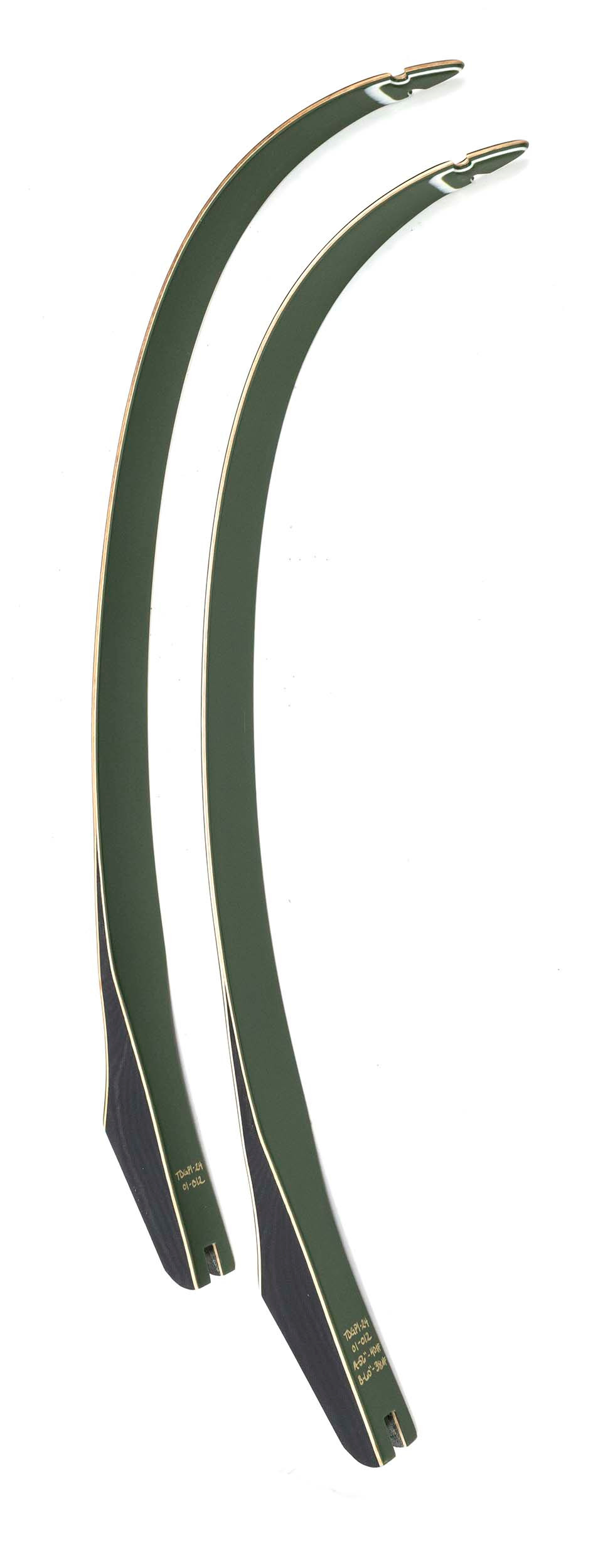 The Fred Bear Takedown Recurve Limbs - Green