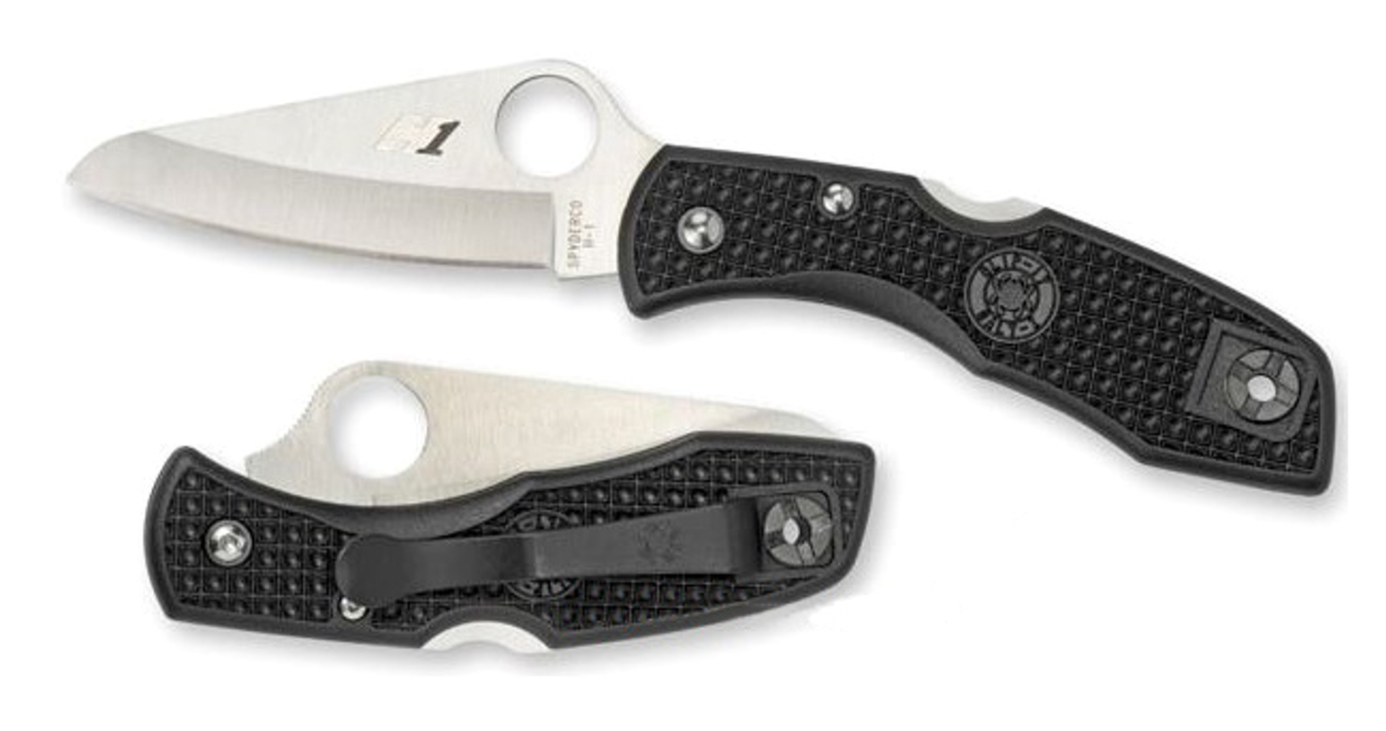 Spyderco C88PBK Salt I Black Plain Edge H-1 Steel